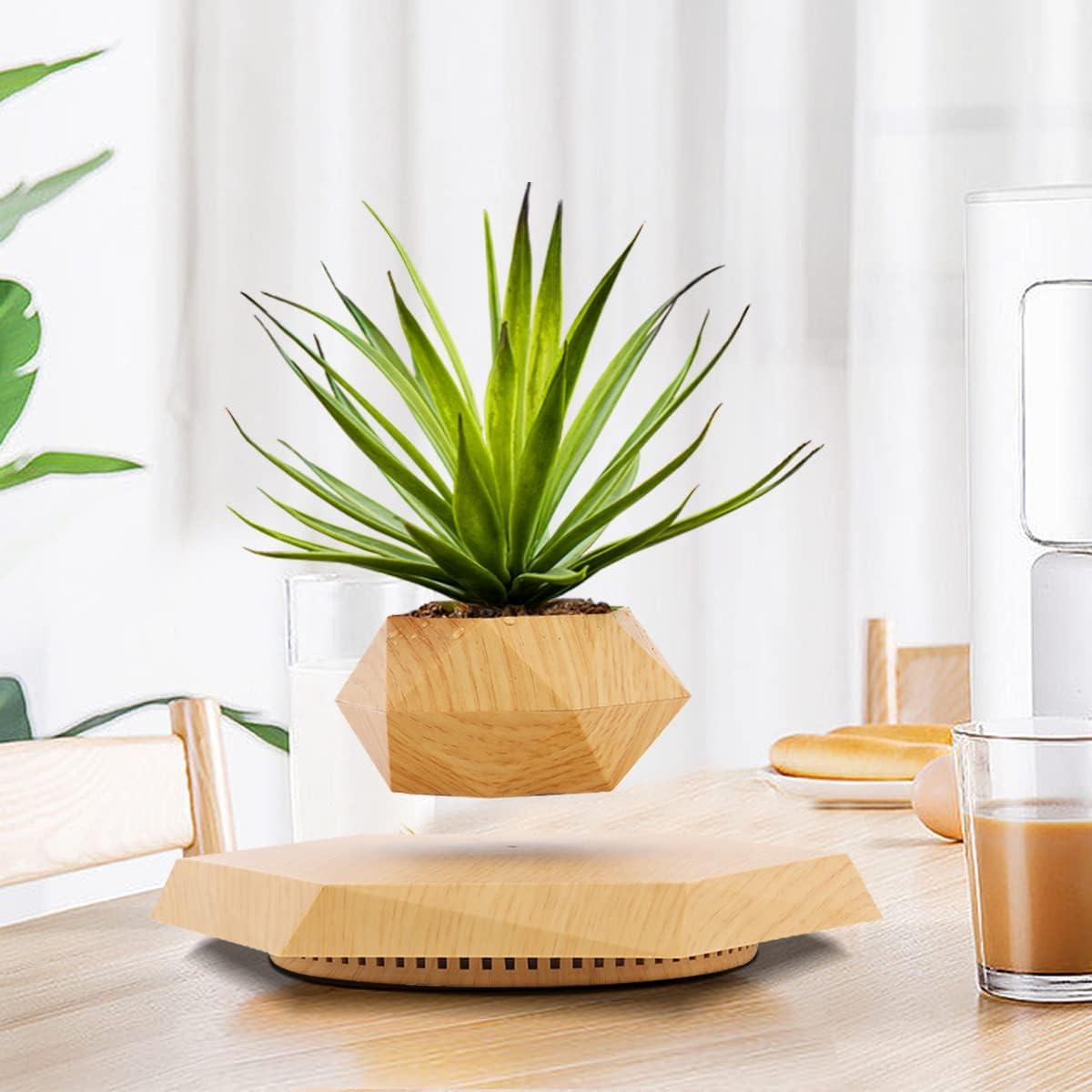 Maceta Flotante HCNT Hexagonal de Madera para Plantas