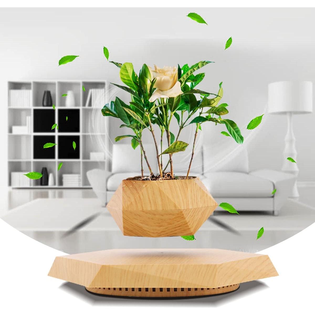 Maceta Flotante HCNT Hexagonal de Madera para Plantas