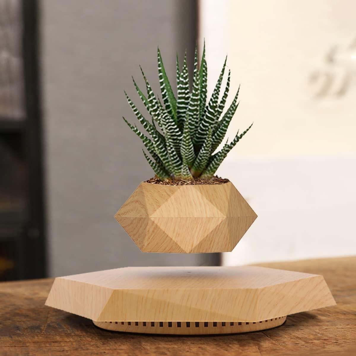 Maceta Flotante HCNT Hexagonal de Madera para Plantas