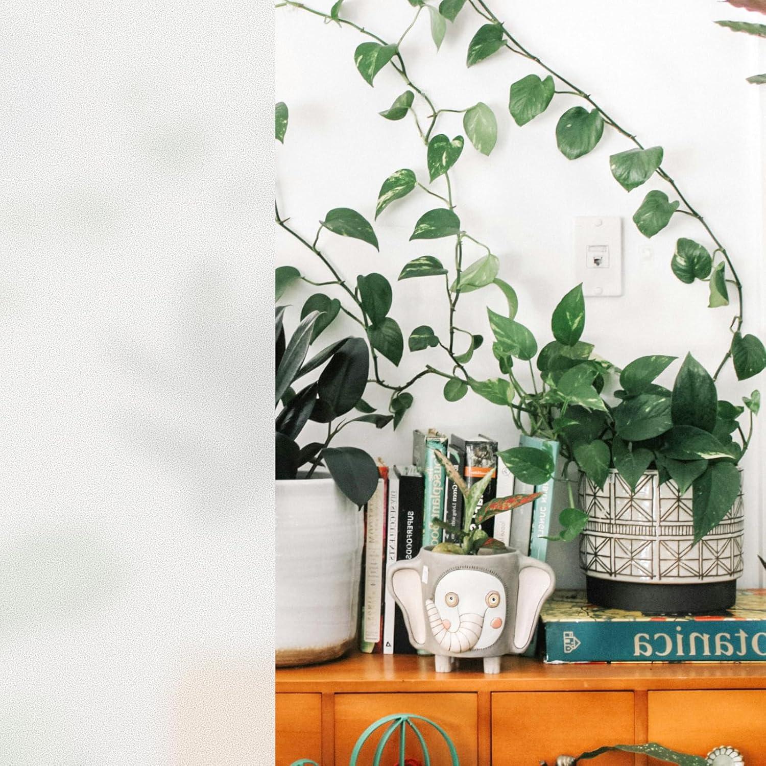 Vinilo Adhesivo Mate Esmerilado Ant Todo Clima 3.66x4.57m