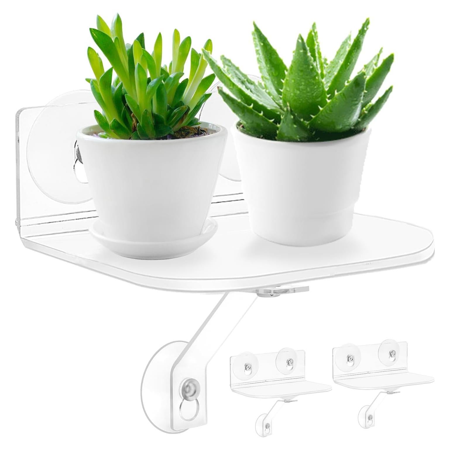 Estantes de Ventana Acrílicos Skewo - Paquete de 2 con Ventosas