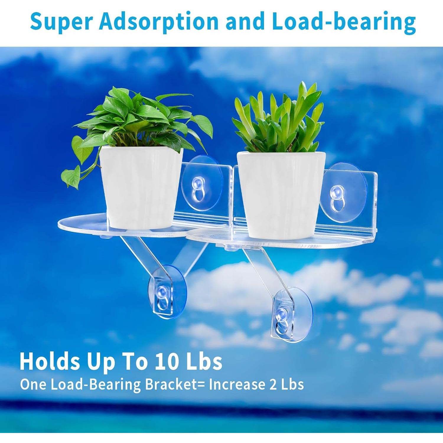 Estantes de Ventana Acrílicos Skewo - Paquete de 2 con Ventosas