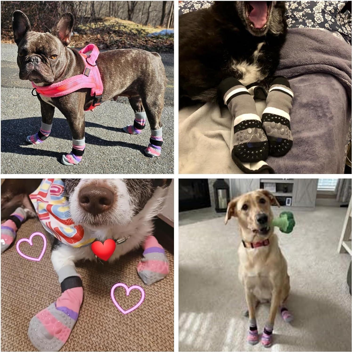 Calcetines Antideslizantes KOOLTAIL para Perros - 3 Pares