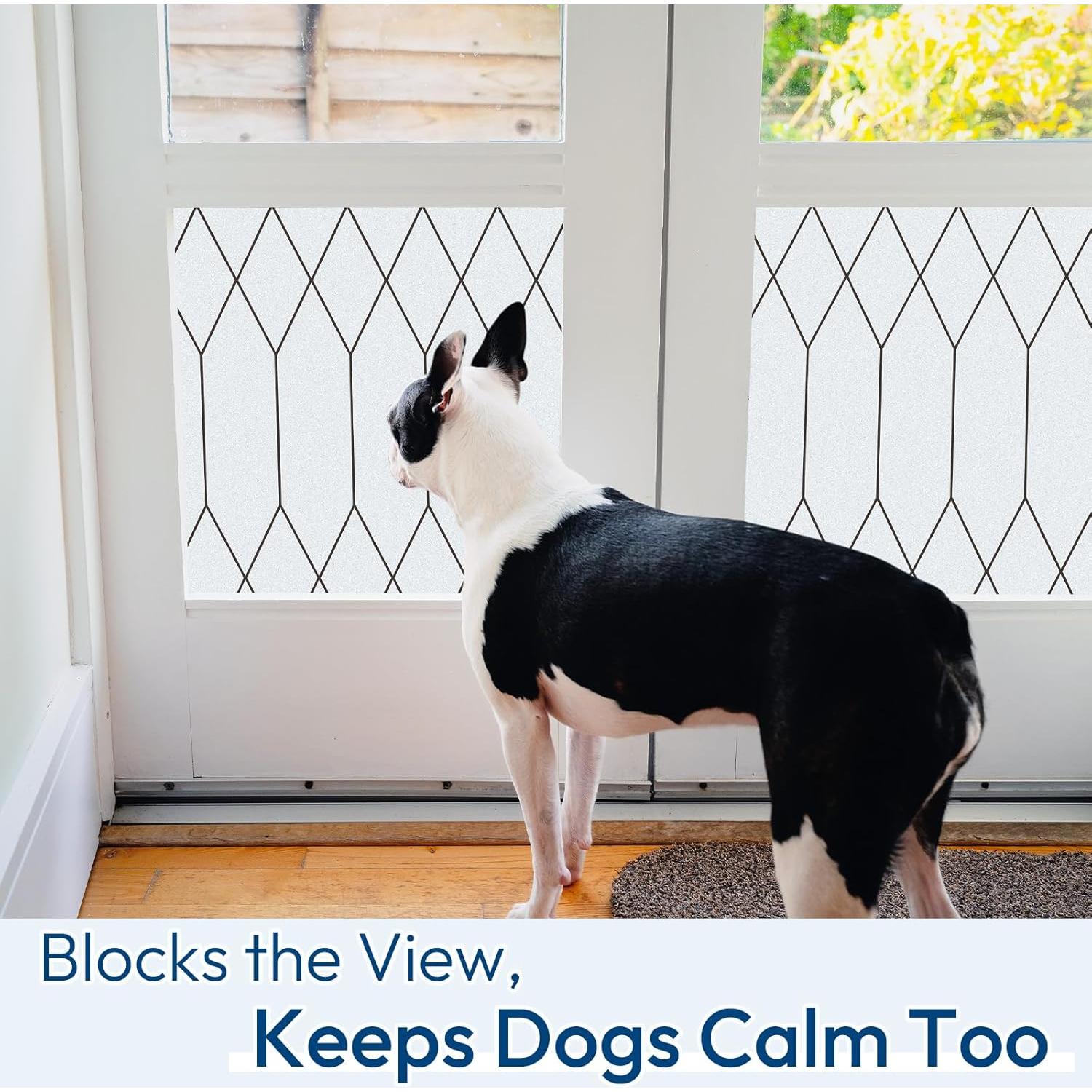 Película de Privacidad Esmerilada rabbitgoo 44.5x199.8 cm