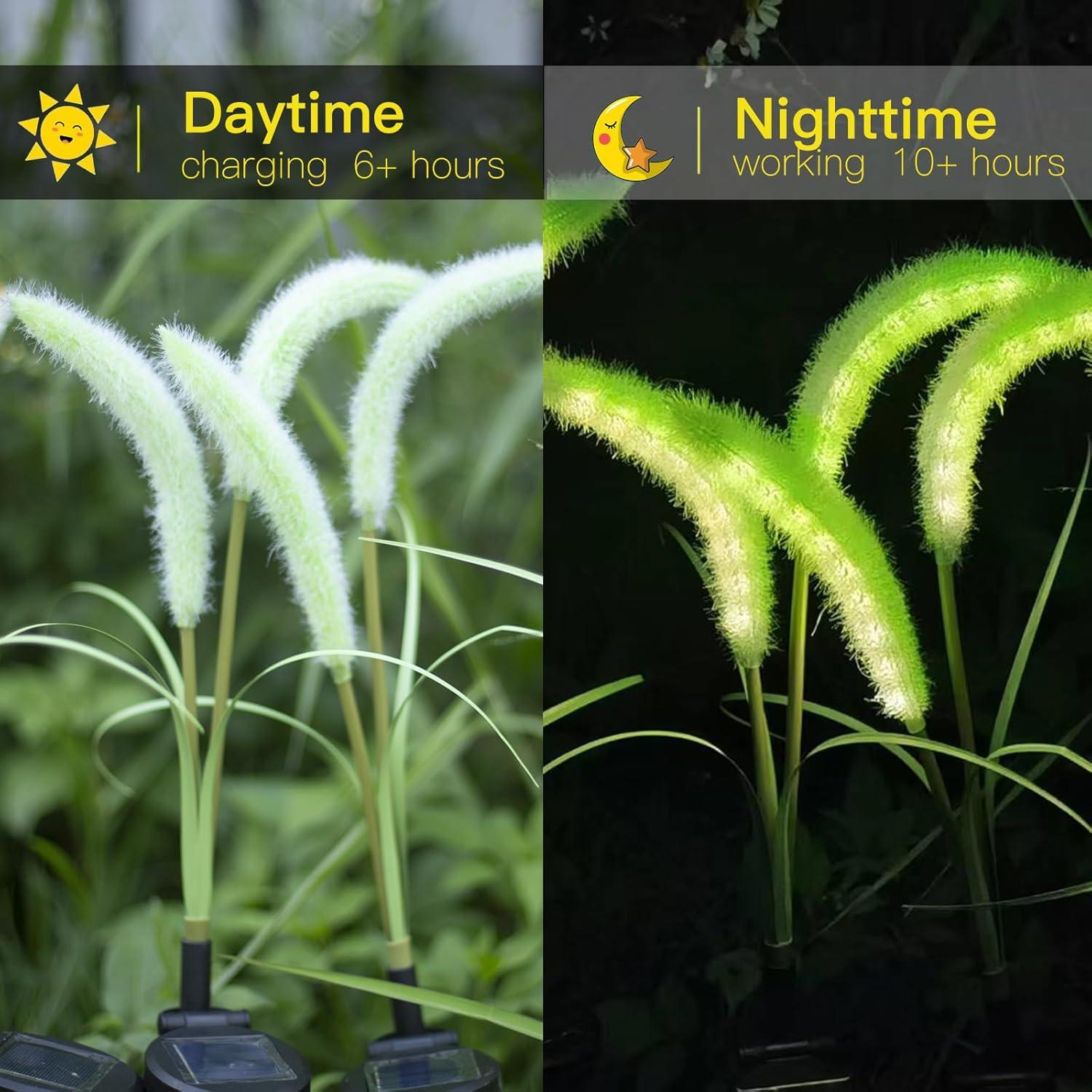 Luces Solares Decorativas Setaria Viridis Mindcare 4 Pzas