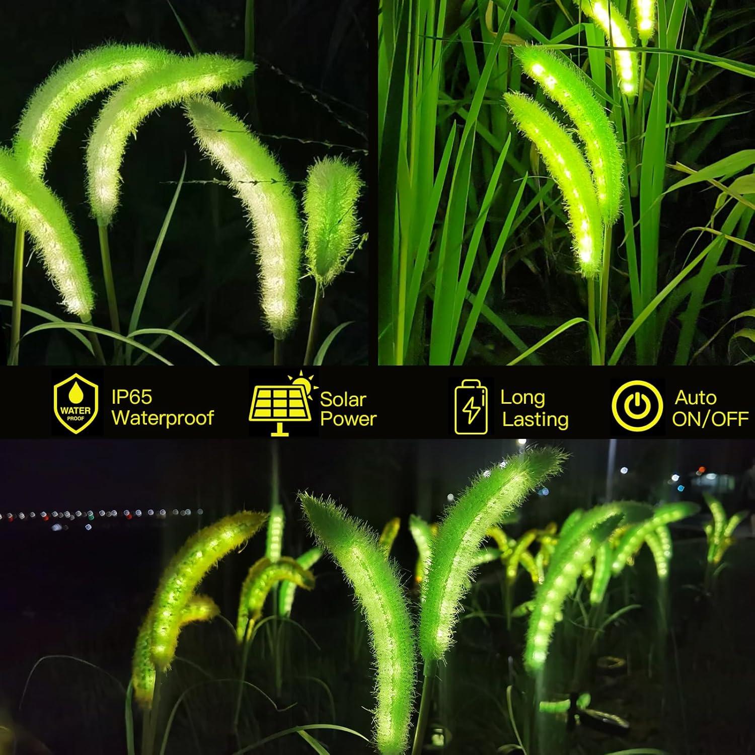 Luces Solares Decorativas Setaria Viridis Mindcare 4 Pzas