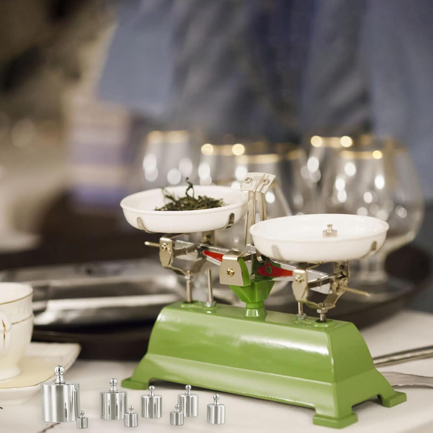 Kit de Pesas de Calibración SEUNMUK 16 Piezas 10g a 500g