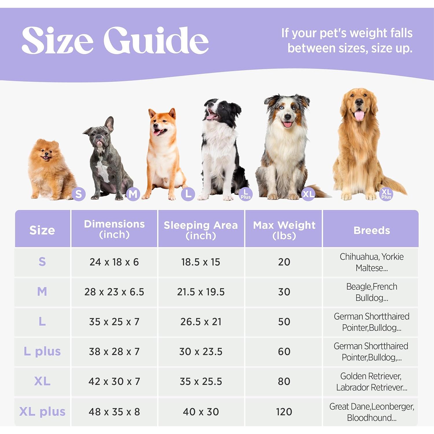 Cama Ortopédica para Perros Pequeños Lesure 60x45cm Gris