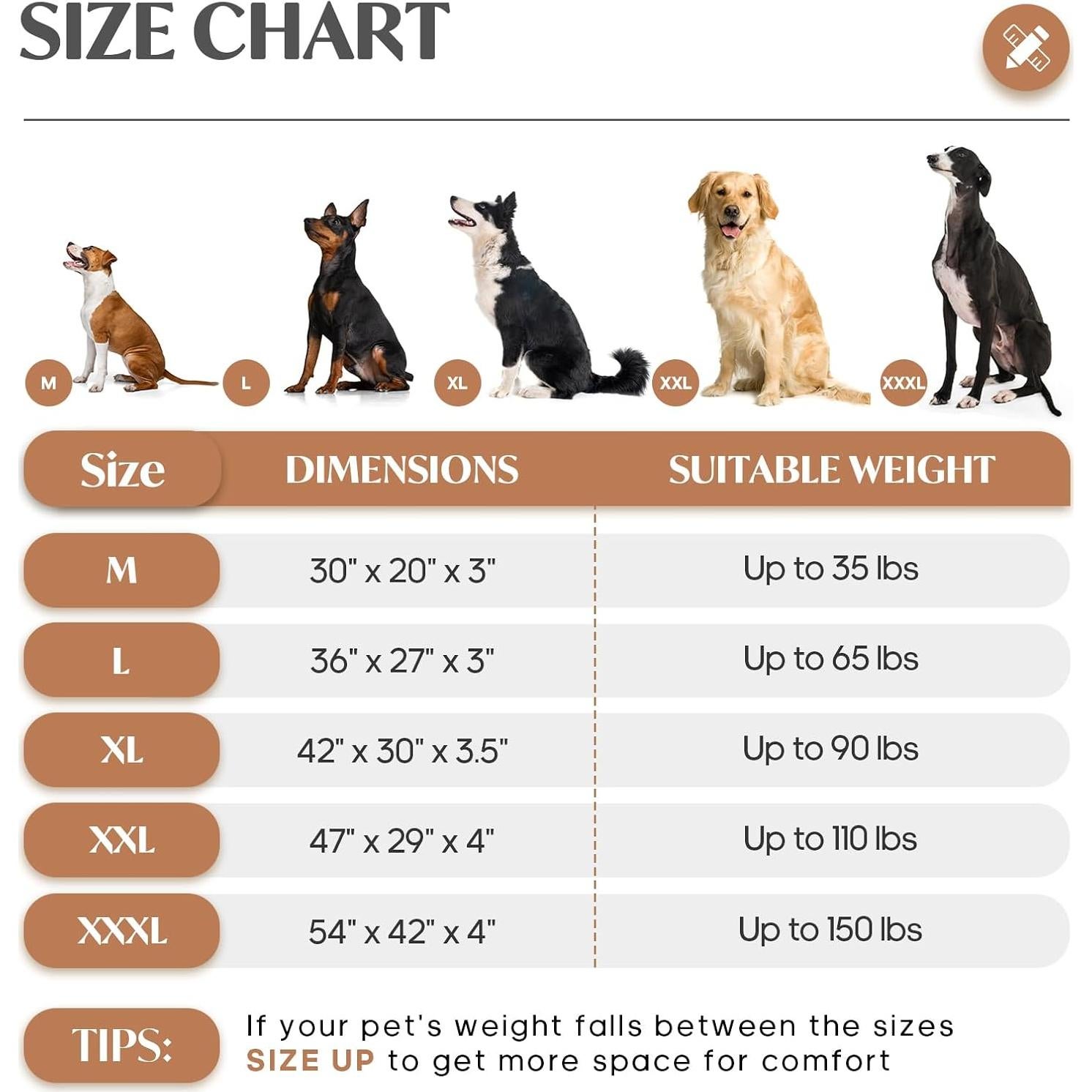 Cama para Perros Mediana SOFTMATE con Espuma Ortopédica 76x51cm