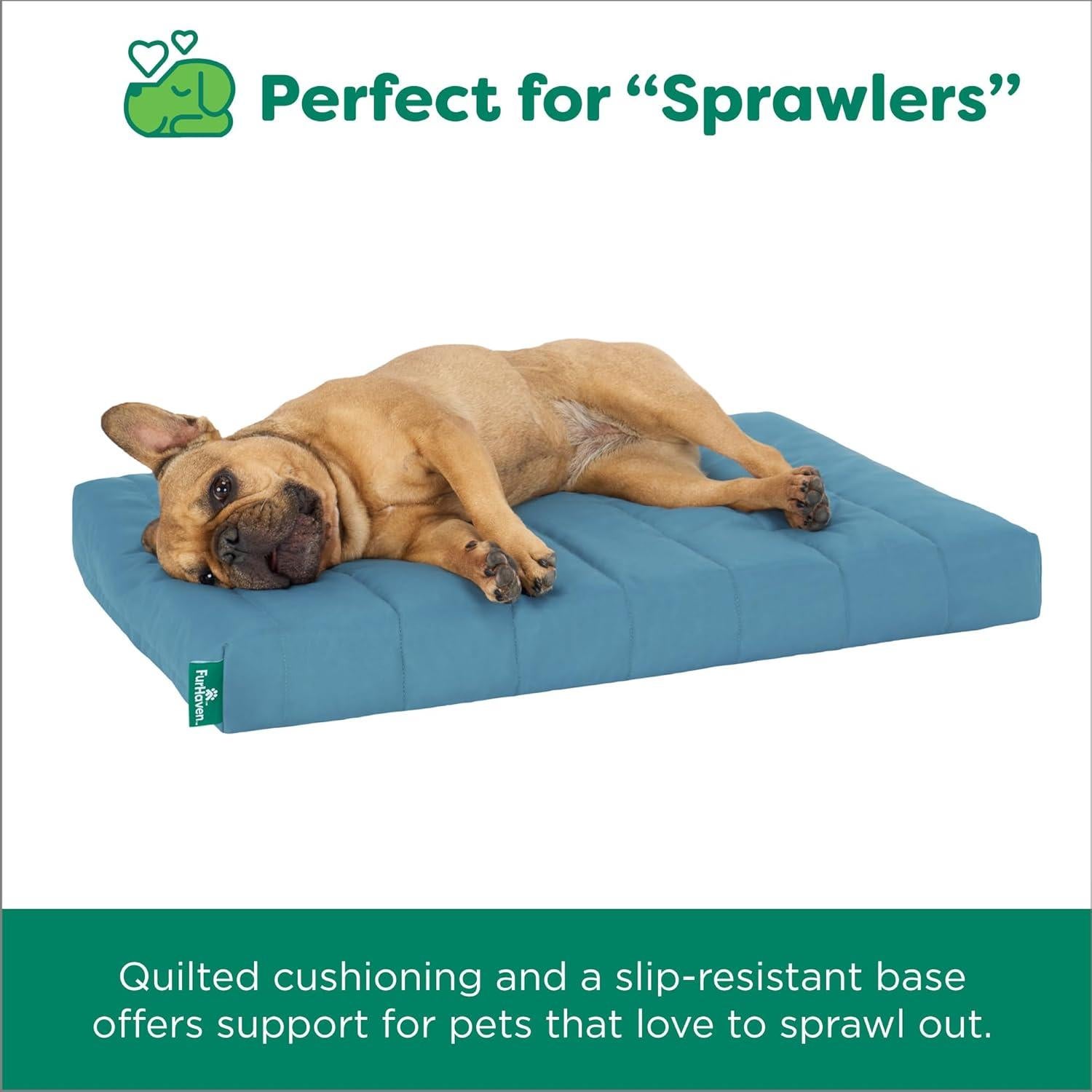 Cama ortopédica para perros FurHaven - Mediana, Laguna