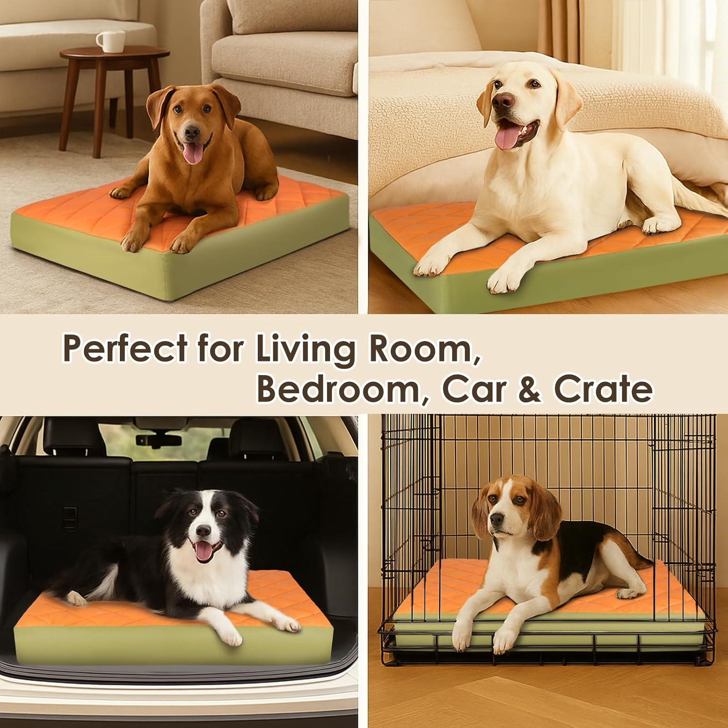 Cama Ortopédica Grande para Perros Paw Libero 90x60cm Impermeable