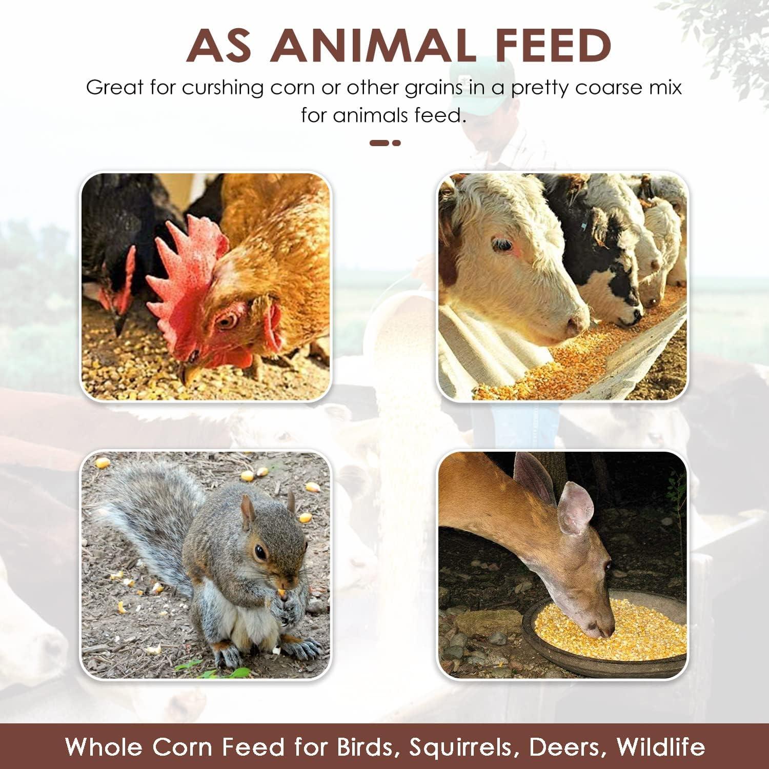 Molino de Maíz Manual Moongiantgo Hierro Fundido 2.5kg