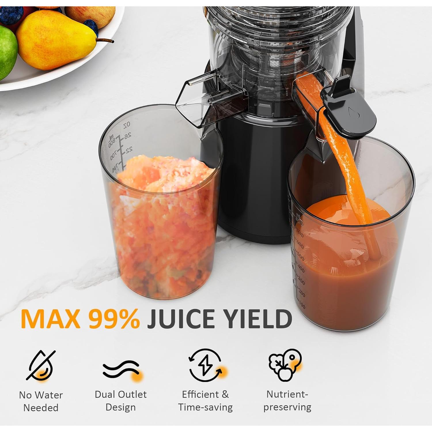 Extractor de Jugo Lento SUNVIVI 250W con Embudo 15cm Fácil Limpieza