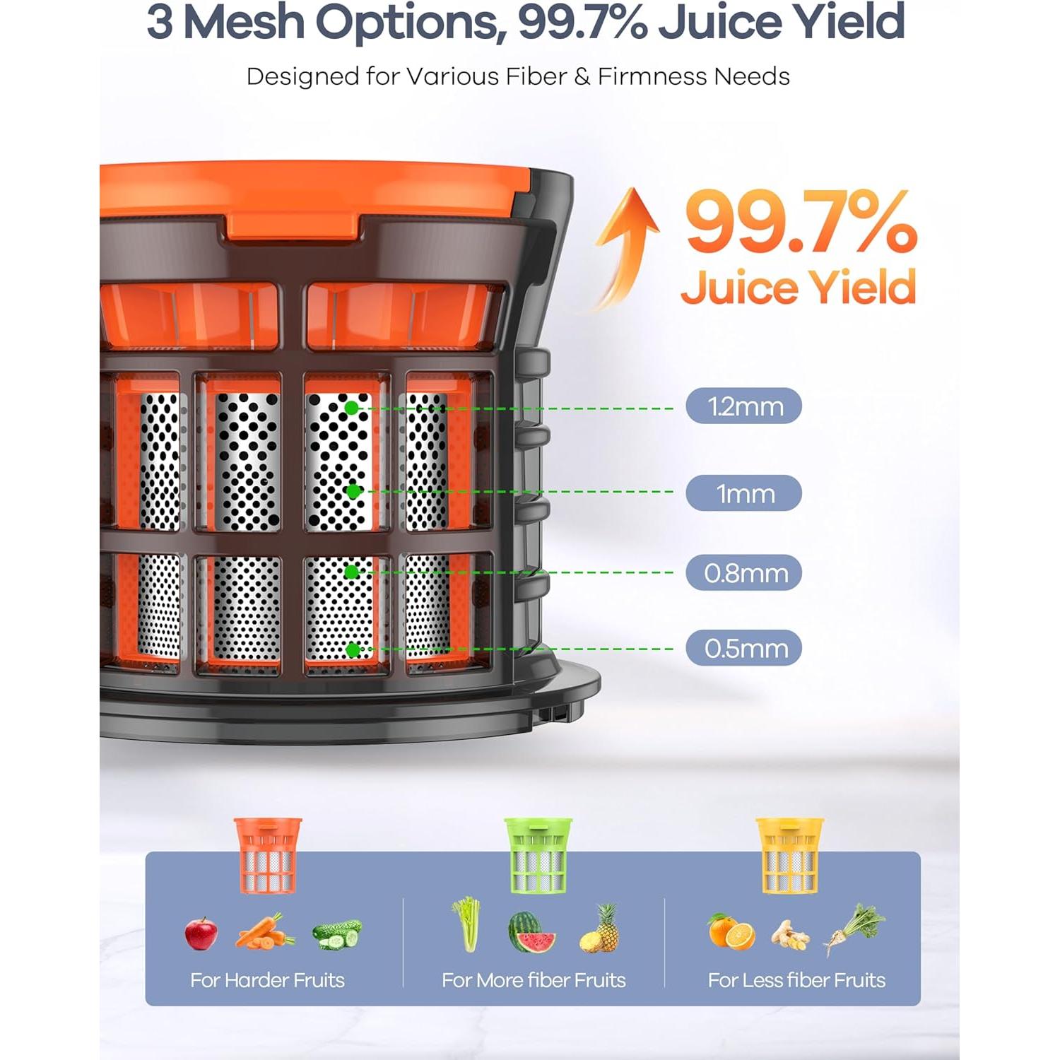 Exprimidor Masticador Ganiza GJ10 Plata 1.2kg 350W Fácil Limpieza
