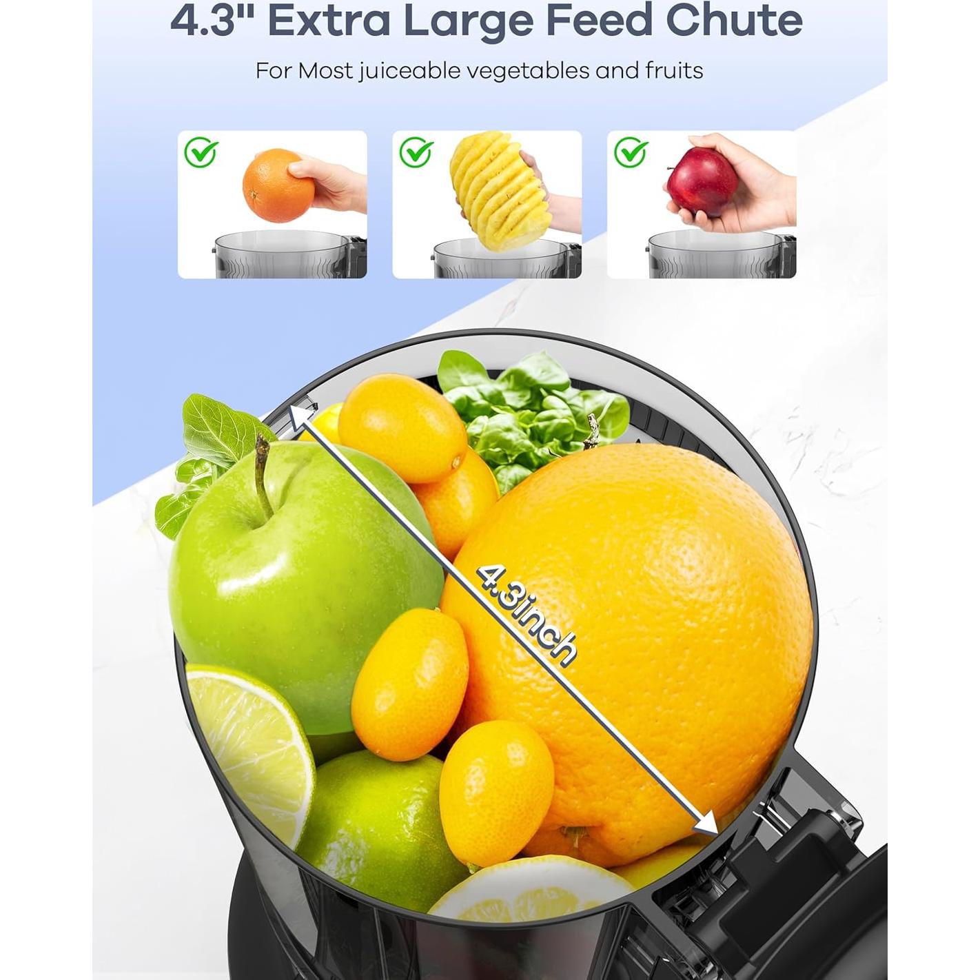 Exprimidor Masticador Ganiza GJ10 Plata 1.2kg 350W Fácil Limpieza