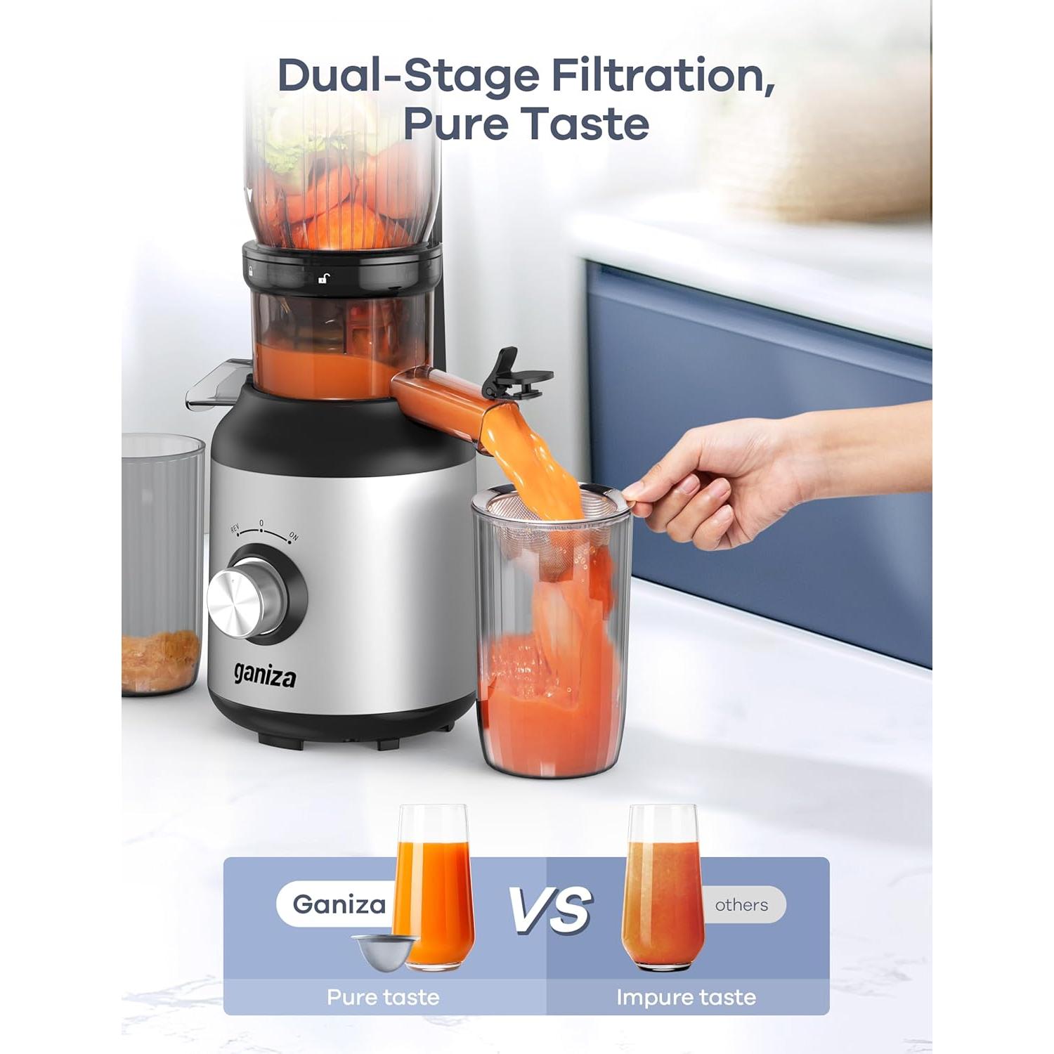 Exprimidor Masticador Ganiza GJ10 Plata 1.2kg 350W Fácil Limpieza