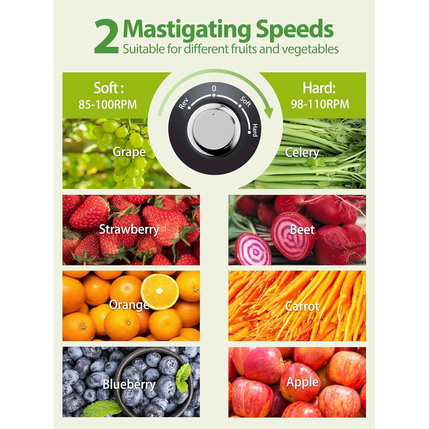 Extractor de Jugo Horizontal Aeitto Clásico 600ml Negro