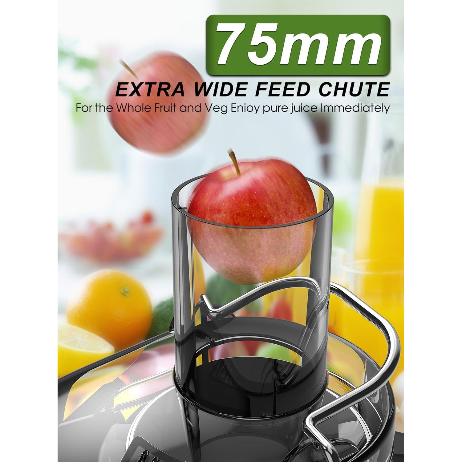 Extractor de Jugo Bestome 1200W Doble Velocidad 1.04L