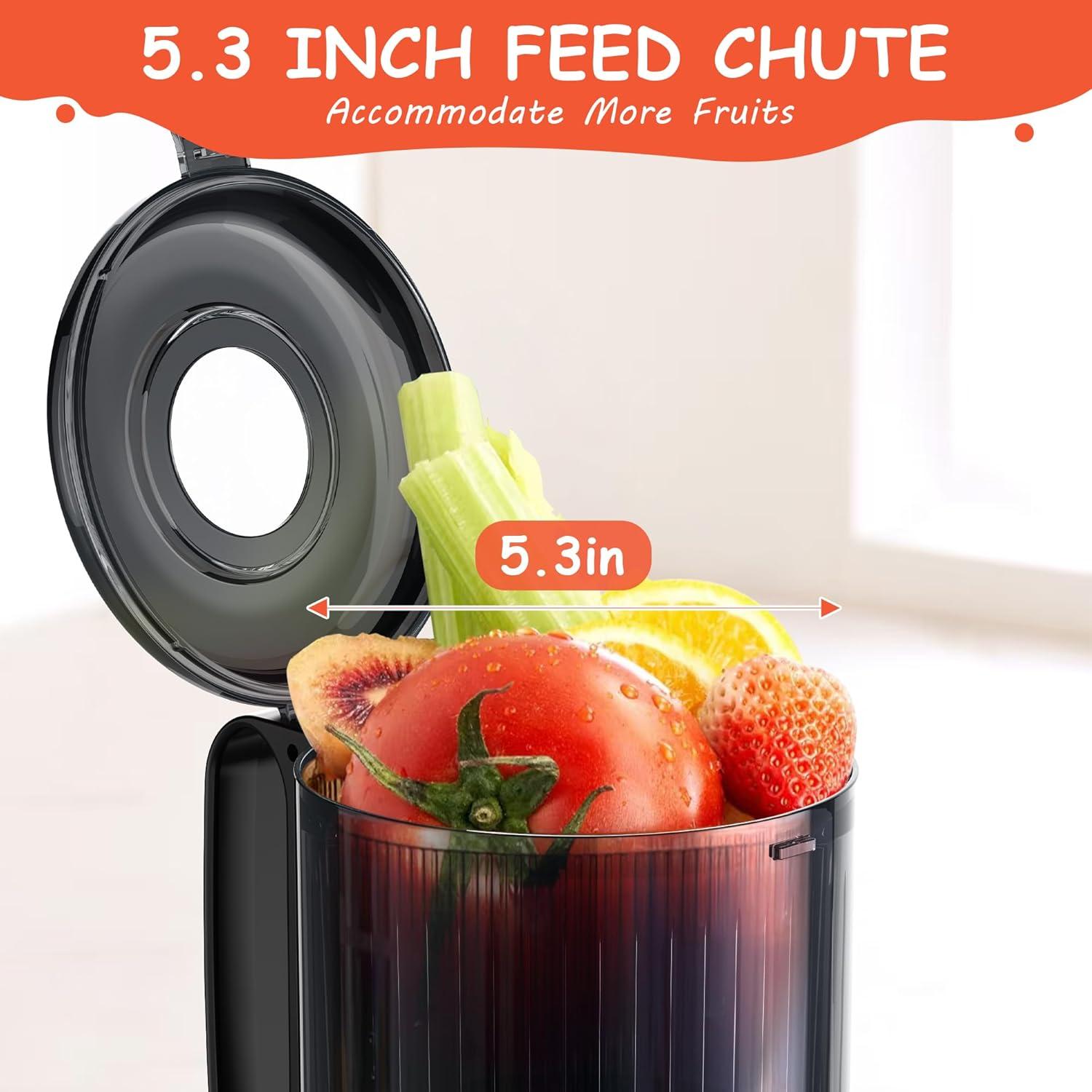 Exprimidor Hobsir HSC-802J 300W Prensa Fría 5.3" Negro