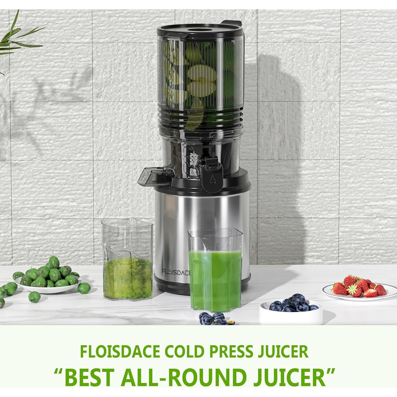 Extractor de Jugo Masticador Floisdace JE120 - 350W, 16.51 cm