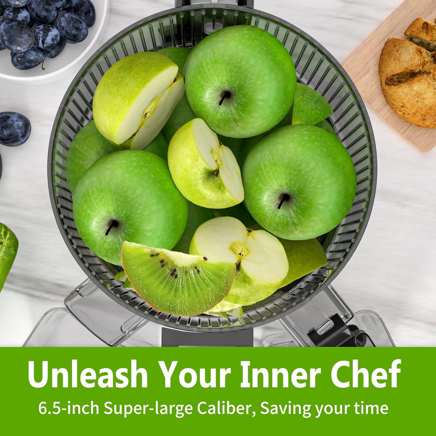 Extractor de Jugo Masticador Floisdace JE120 - 350W, 16.51 cm