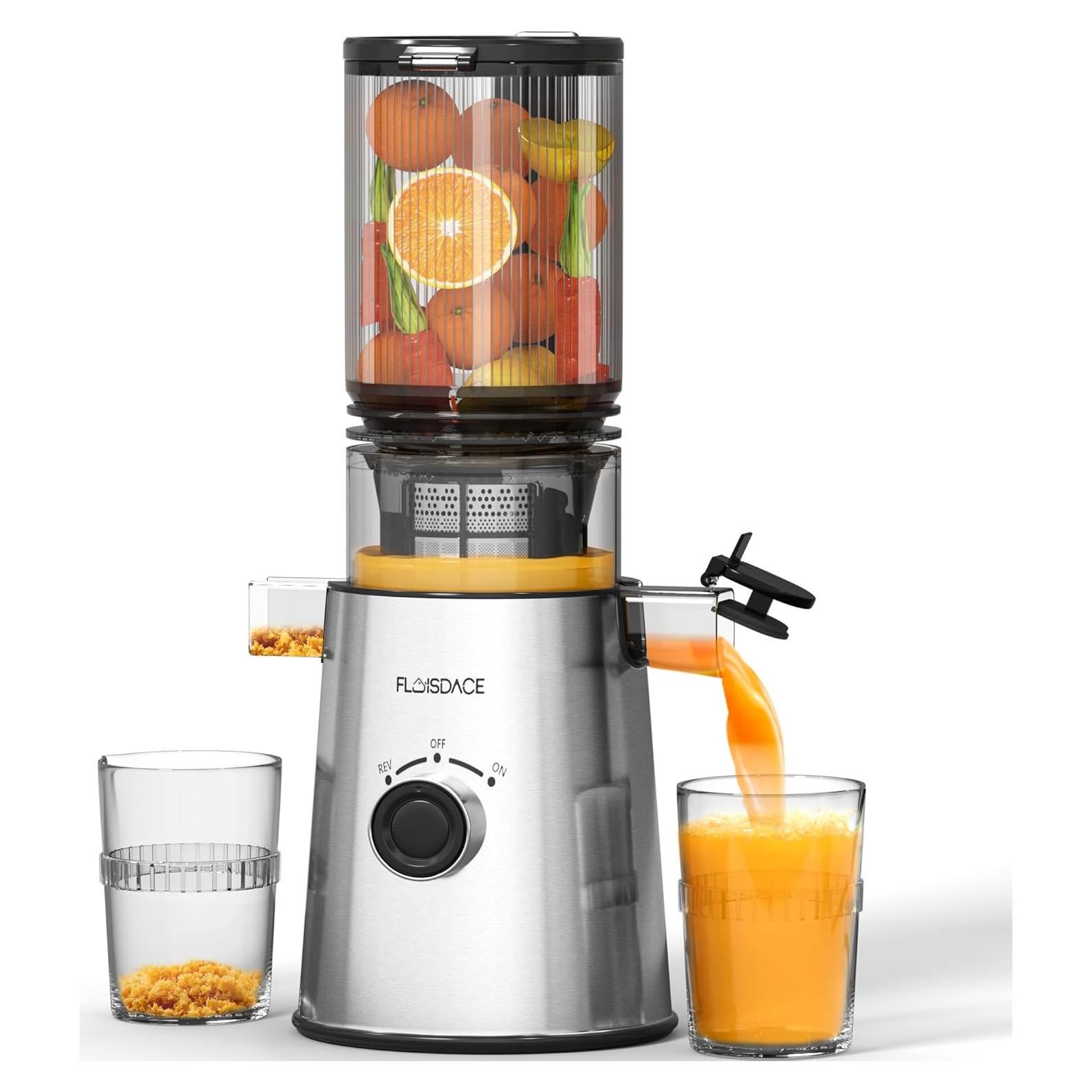 Extractor de Jugo Masticador Floisdace JE70 350W Acero Inoxidable
