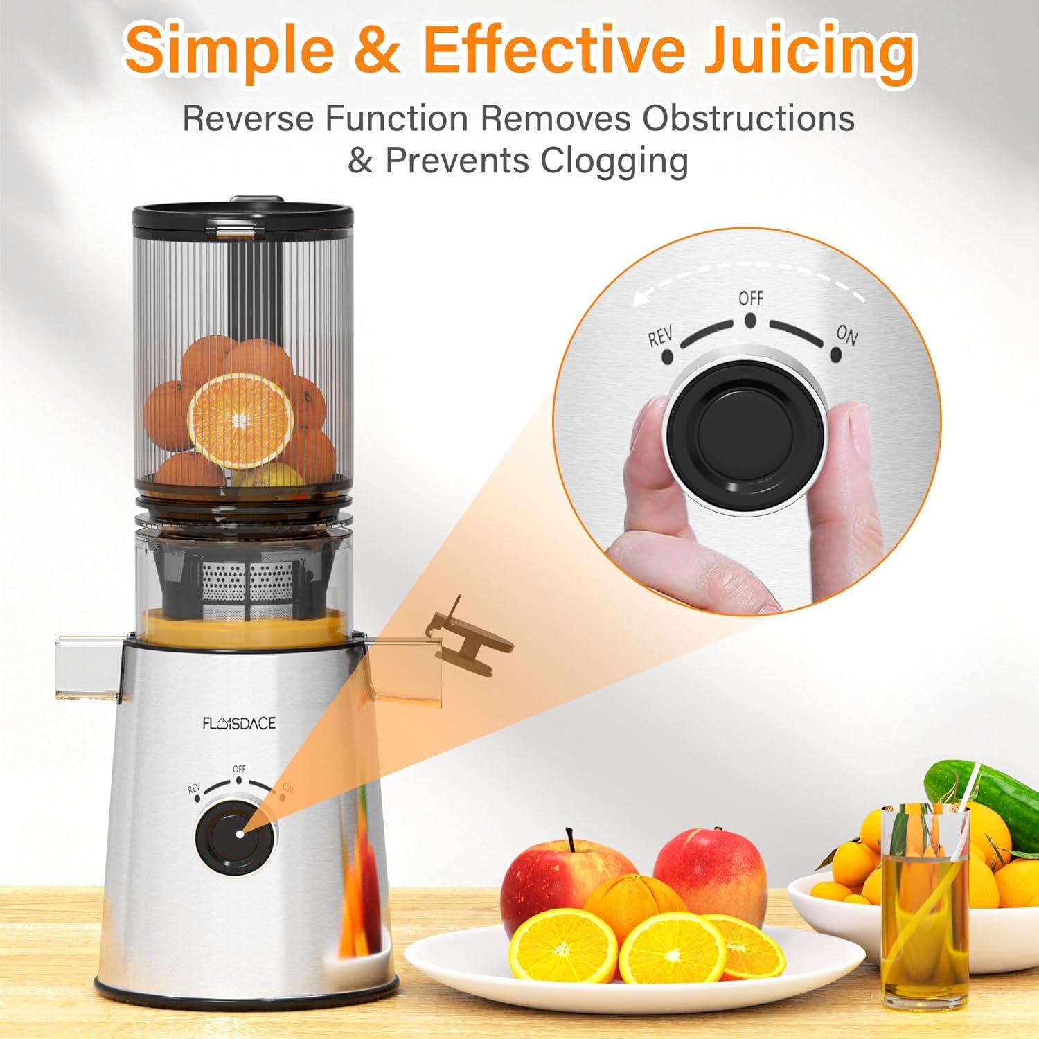 Extractor de Jugo Masticador Floisdace JE70 350W Acero Inoxidable