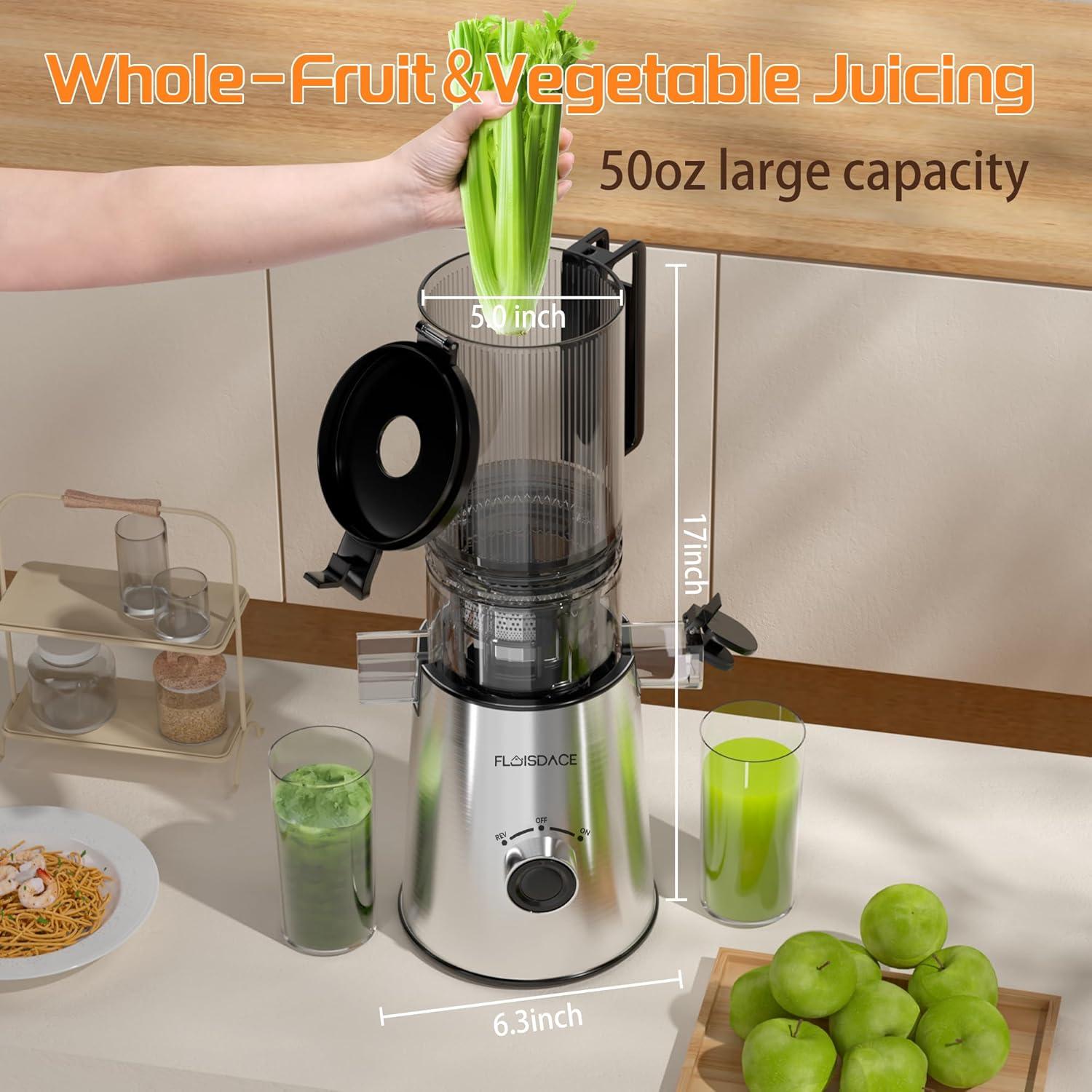 Extractor de Jugo Masticador Floisdace JE70 350W Acero Inoxidable