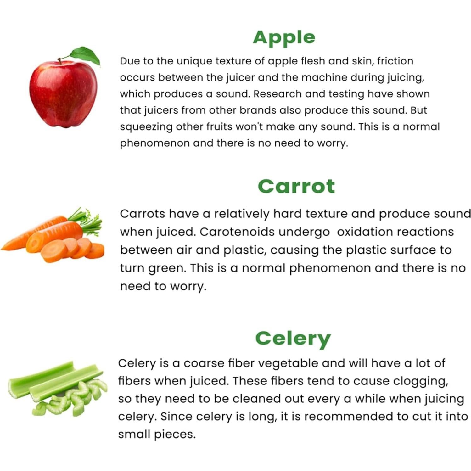 Extractor de Jugo Masticador Floisdace JE70 350W Acero Inoxidable