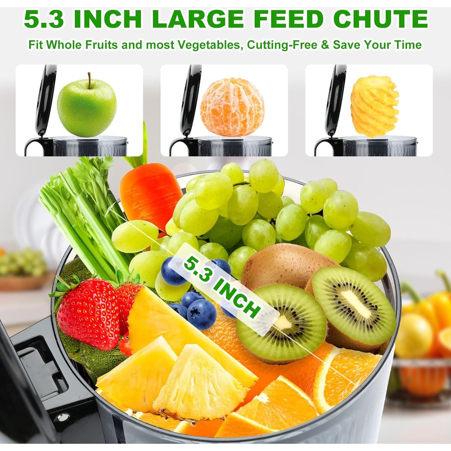 Exprimidor Lento EXREIZST 300W Prensa Fría 5.3" Saludable