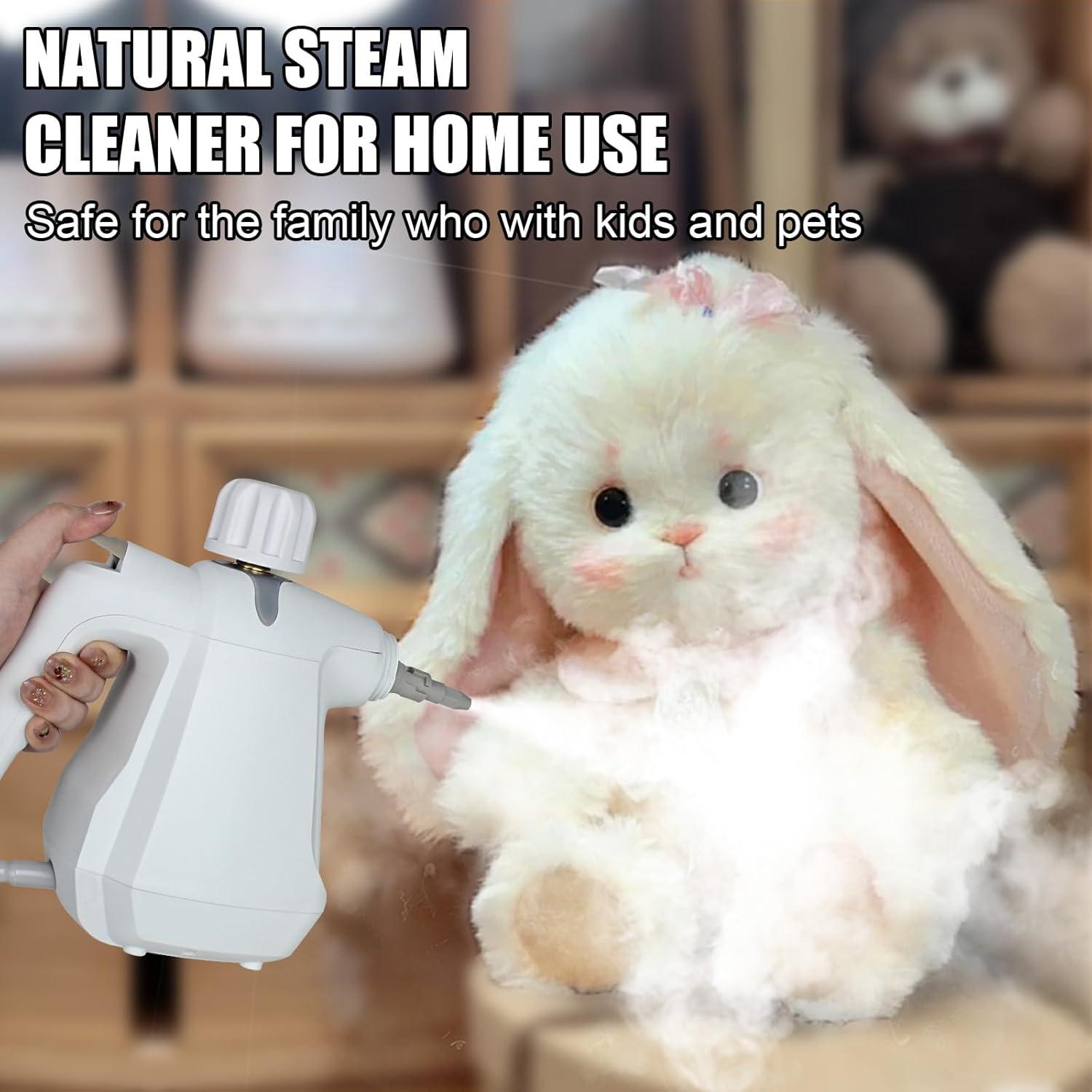 Limpiador de Vapor de Mano Roaaee SC01 1000W 350ml Blanco