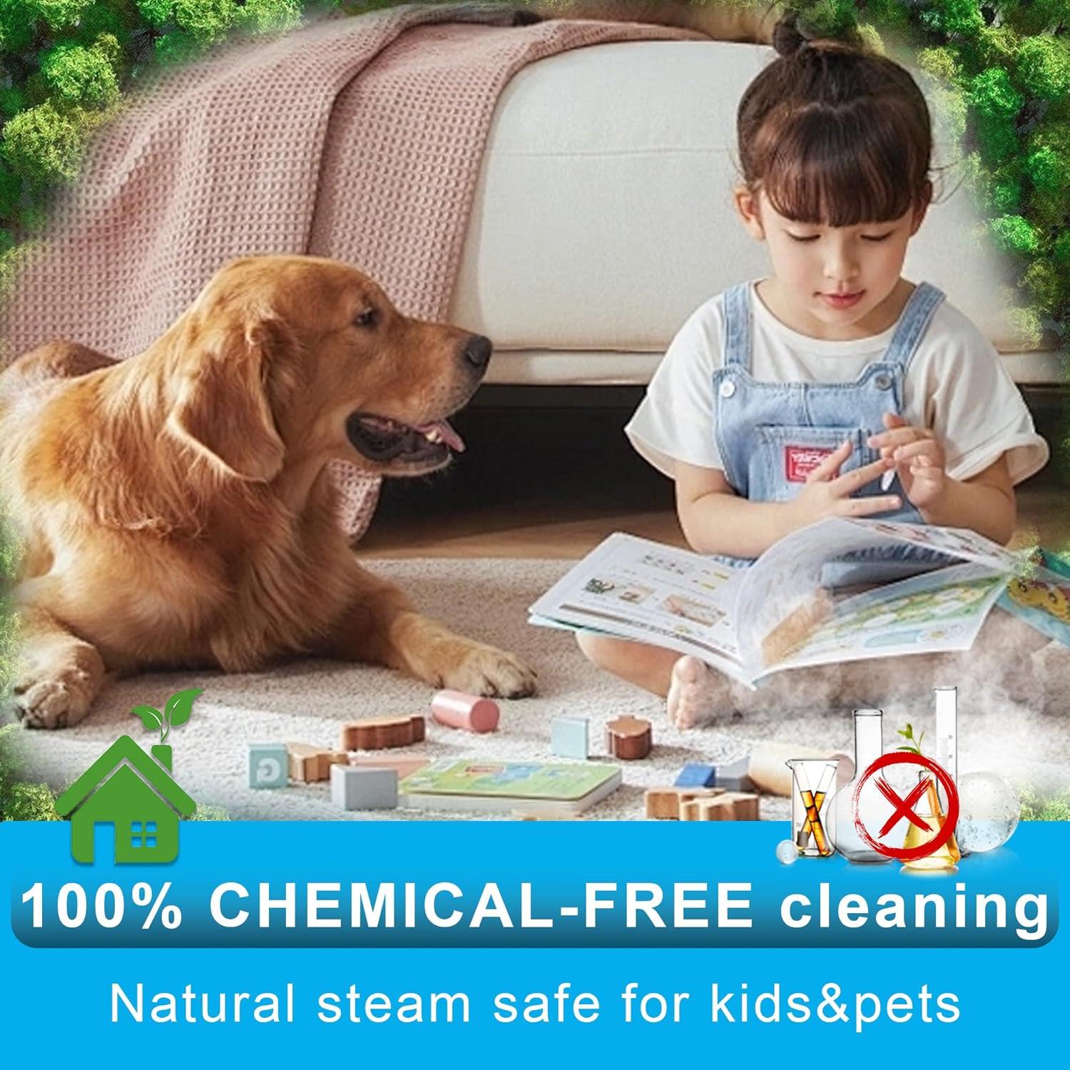 Limpiador de Vapor de Mano Coloeon 1500W 1250ml Multiusos