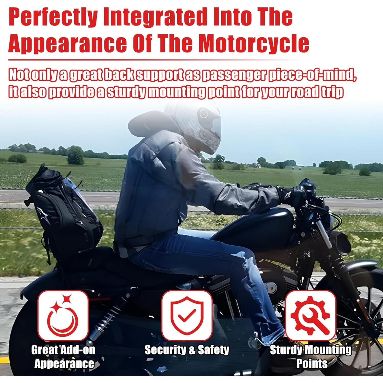 Respaldo Desmontable Goldfire para Pasajero Harley Sportster XL883/XL1200