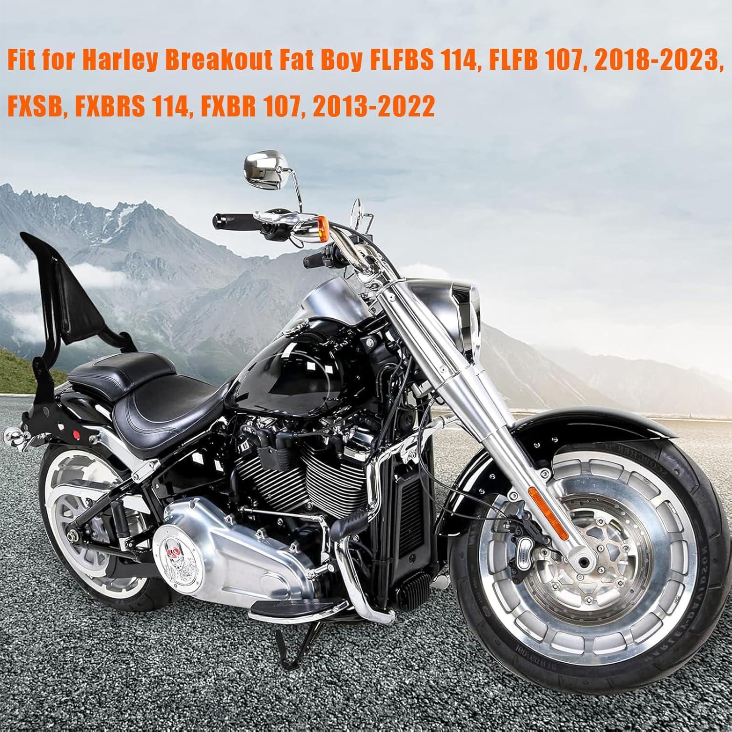 Sissy Bar Desmontable Sresk para Harley Fat Boy y Breakout 2013-2022