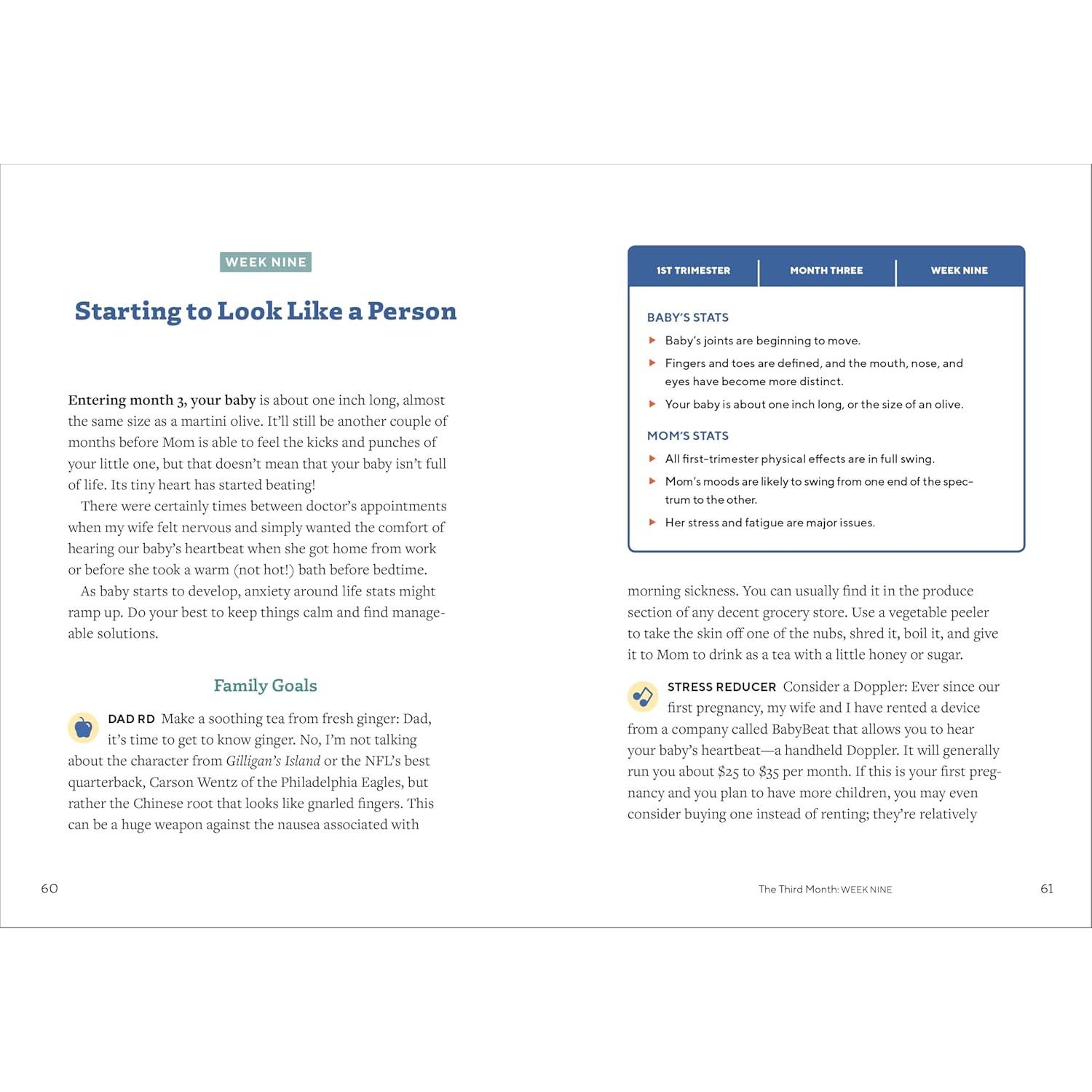 We're Pregnant! The First Time Dad's Pregnancy Handbook