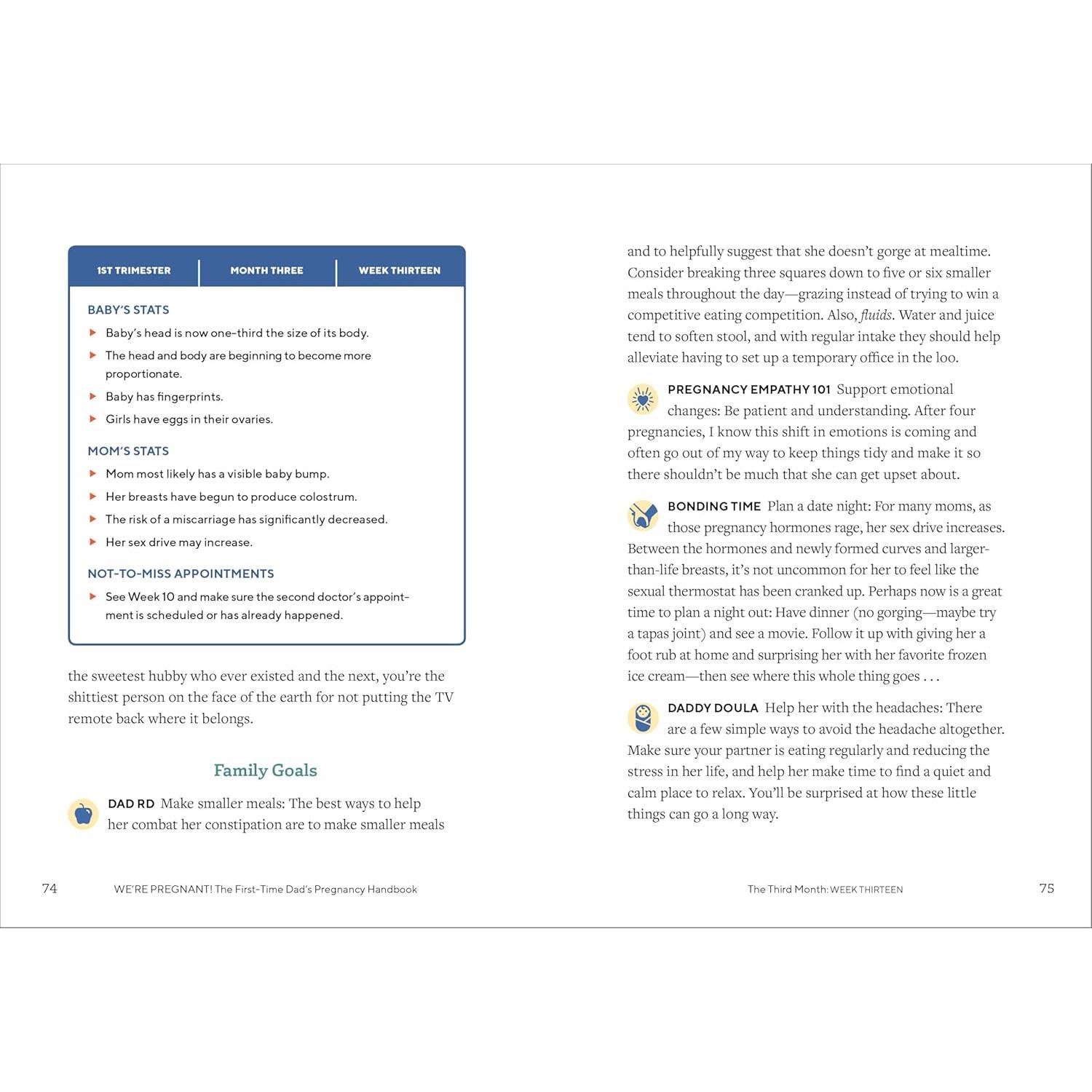 We're Pregnant! The First Time Dad's Pregnancy Handbook