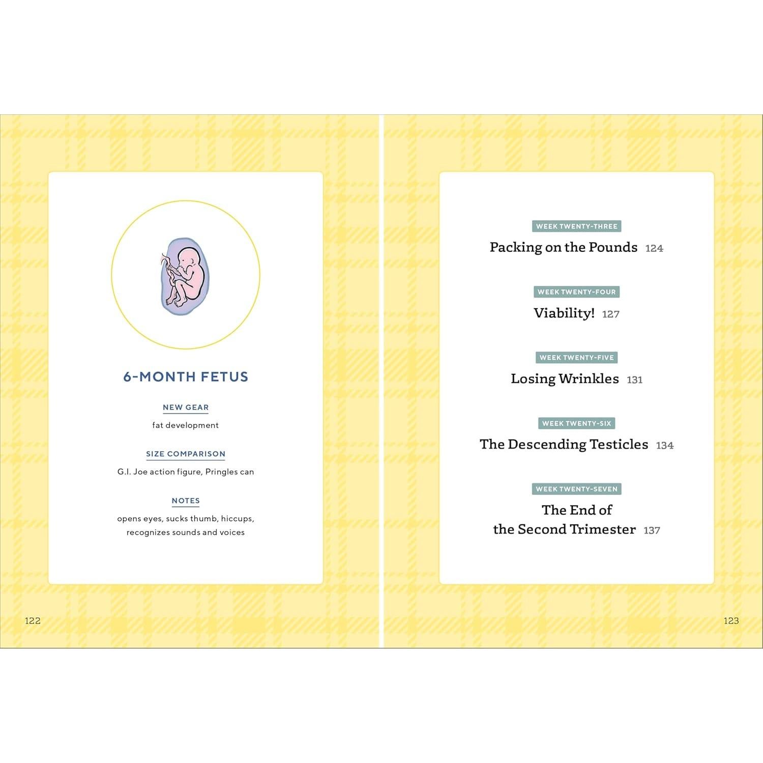 We're Pregnant! The First Time Dad's Pregnancy Handbook