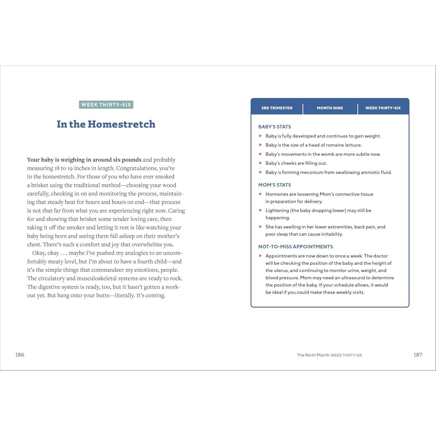 We're Pregnant! The First Time Dad's Pregnancy Handbook