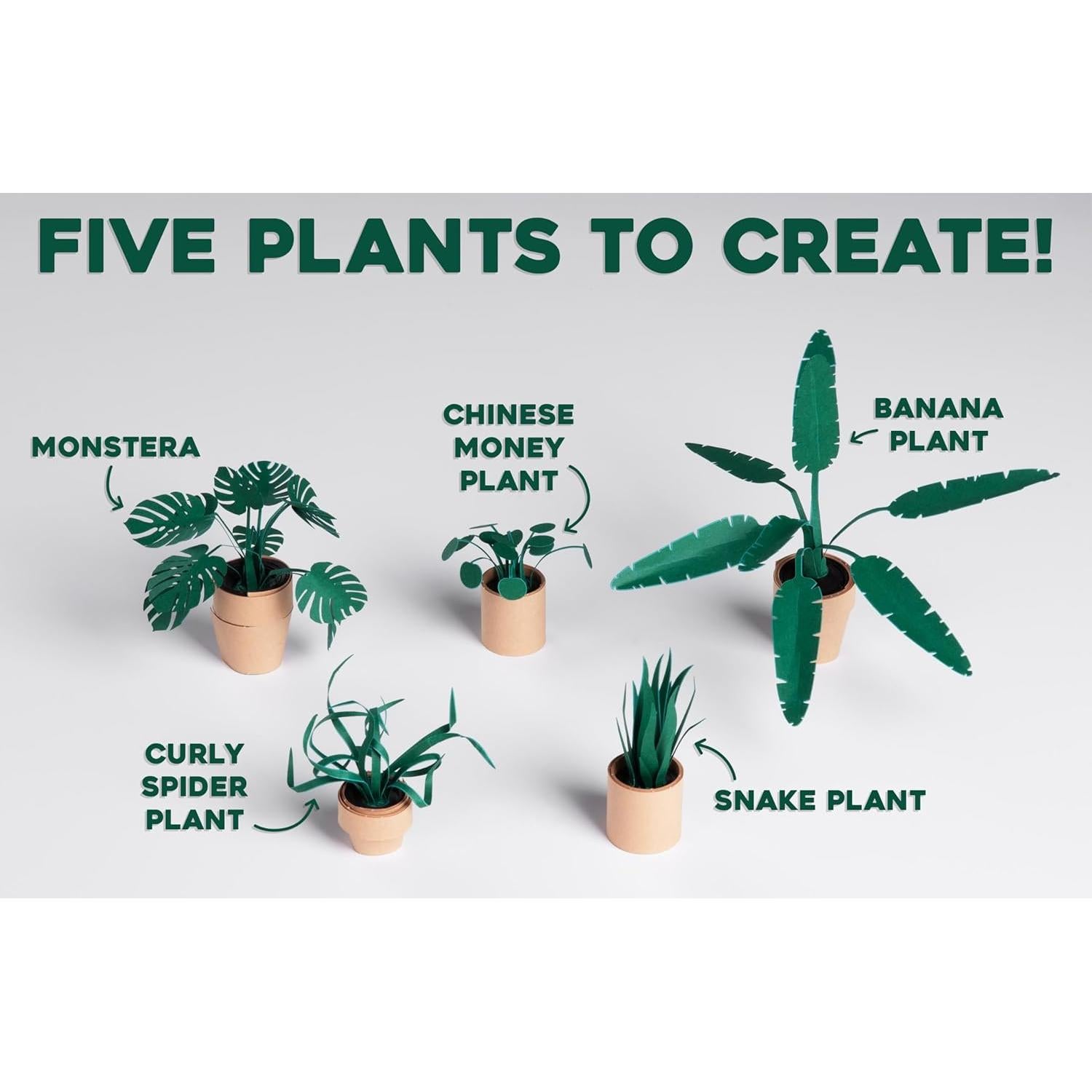 Kit de Plantas de Papel Origami Pikkii - 5 Plantas DIY