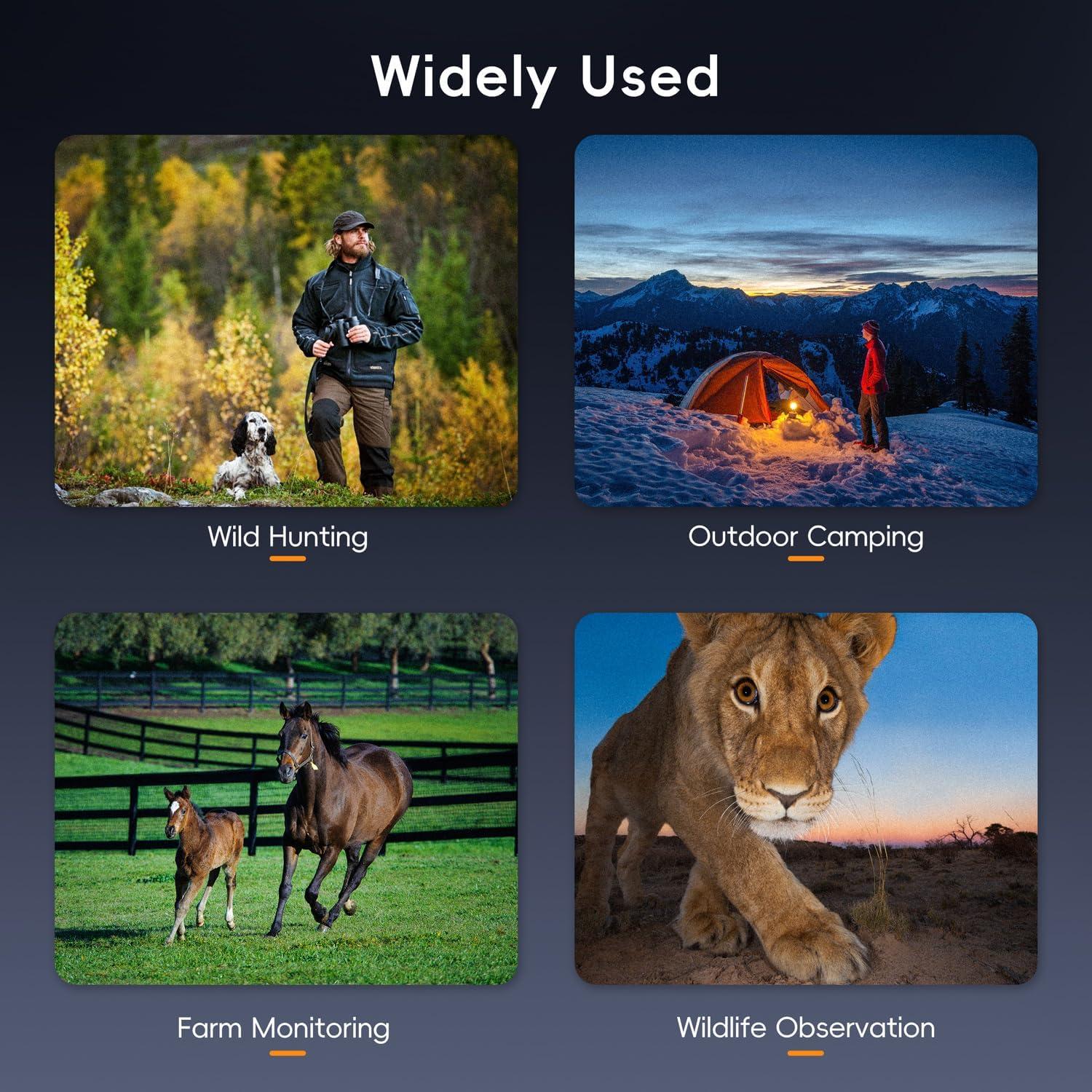 Gafas de Visión Nocturna SKYBASIC HD 10X con Pantalla 2.8"