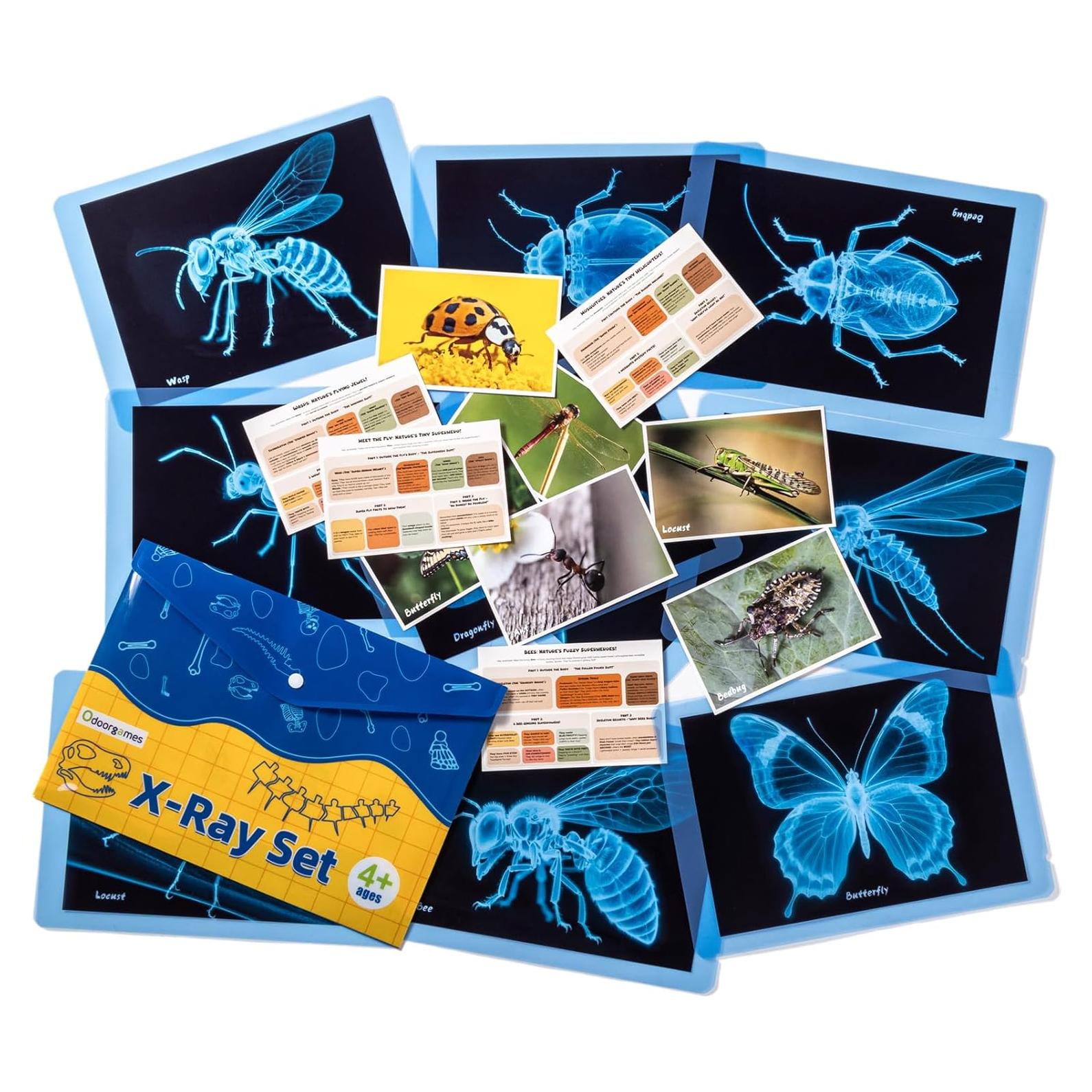 Kit de Ciencia Insectos Odoorgames - Rayos X Educativos STEM