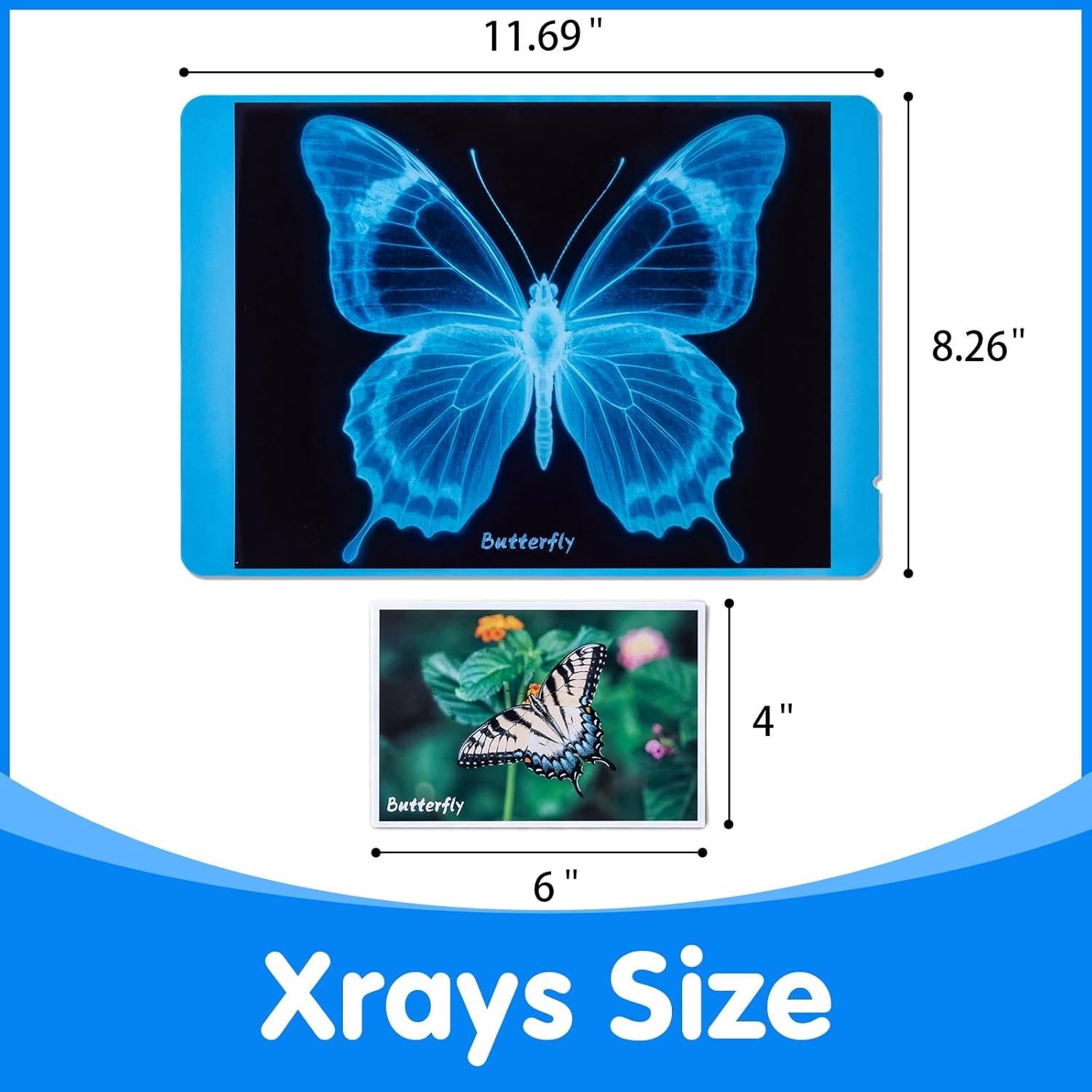 Kit de Ciencia Insectos Odoorgames - Rayos X Educativos STEM