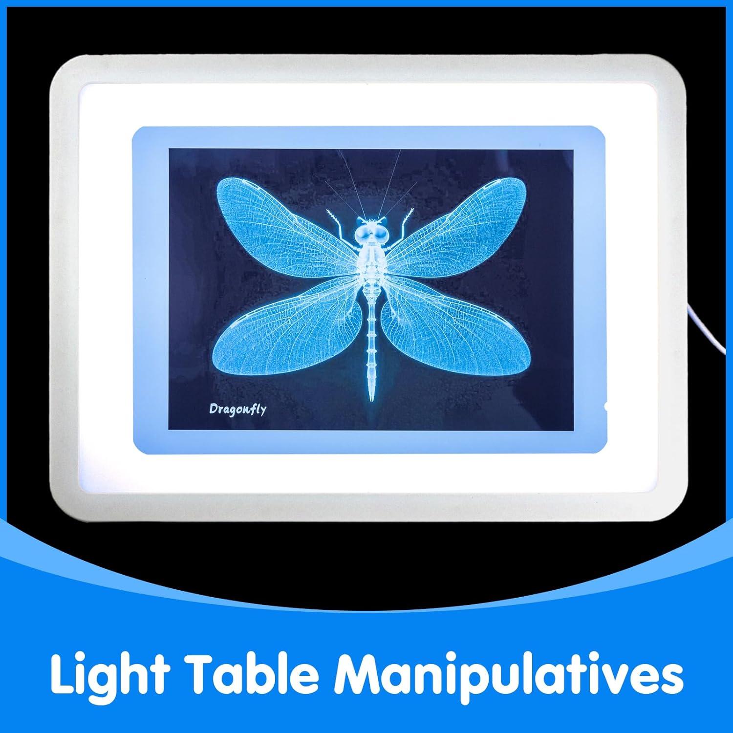 Kit de Ciencia Insectos Odoorgames - Rayos X Educativos STEM