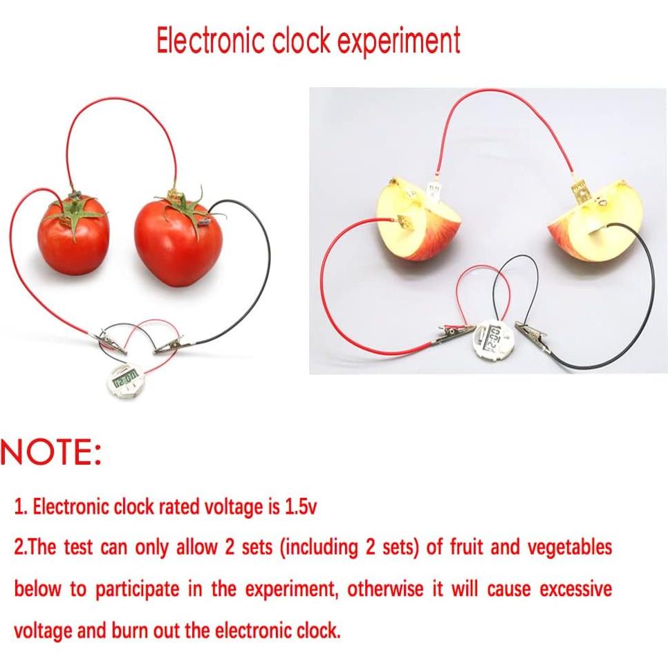 Kit de Experimento Científico de Batería de Frutas Wzttdm - 5 Juegos