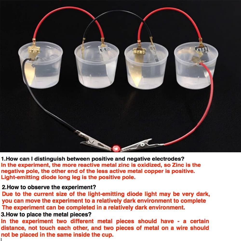 Kit de Experimento Científico de Batería de Frutas Wzttdm - 5 Juegos