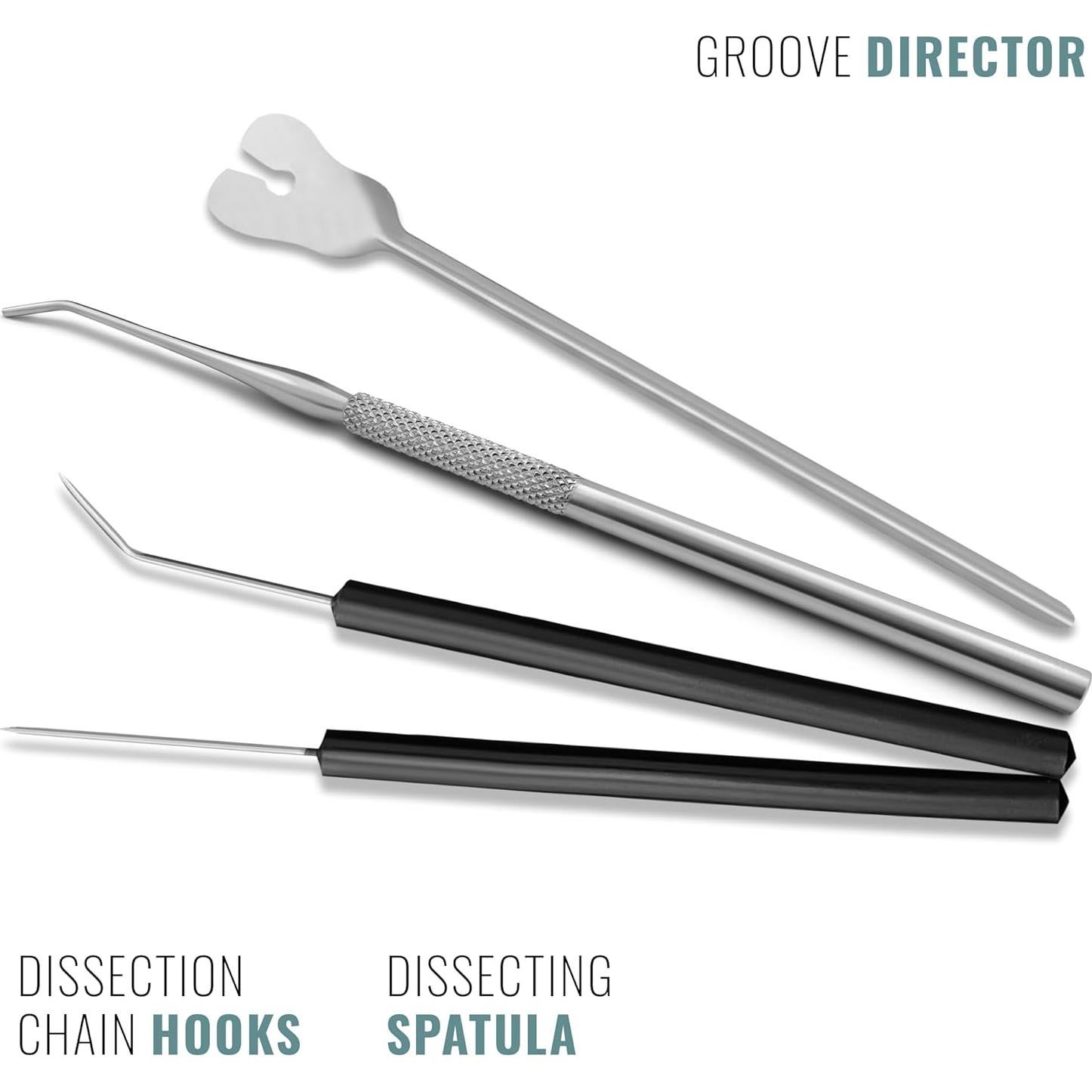 Kit de Disección DEXSUR - 11 Piezas Acero Inoxidable