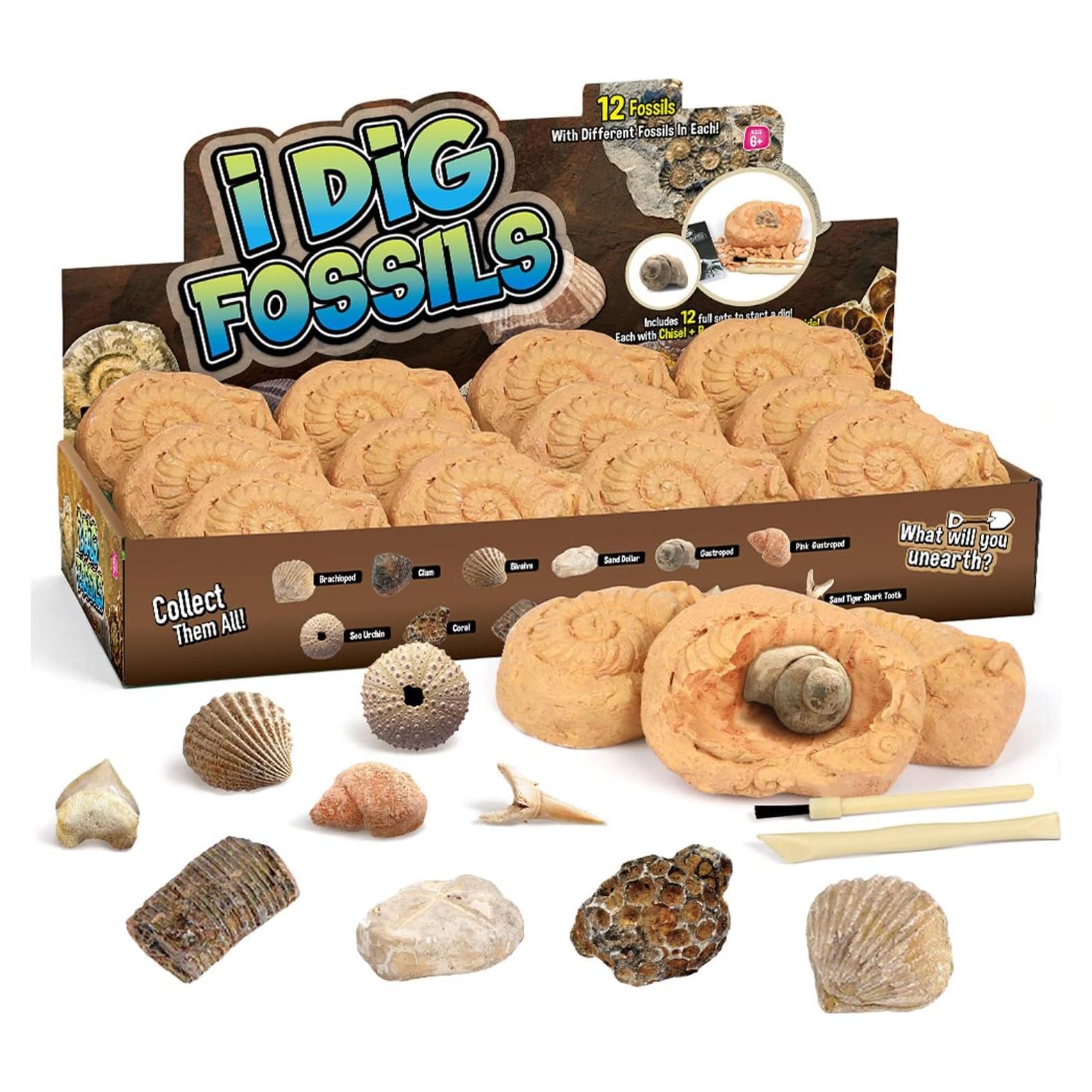 Kit de Excavación de Fósiles Byncceh - Juguete Educativo STEM