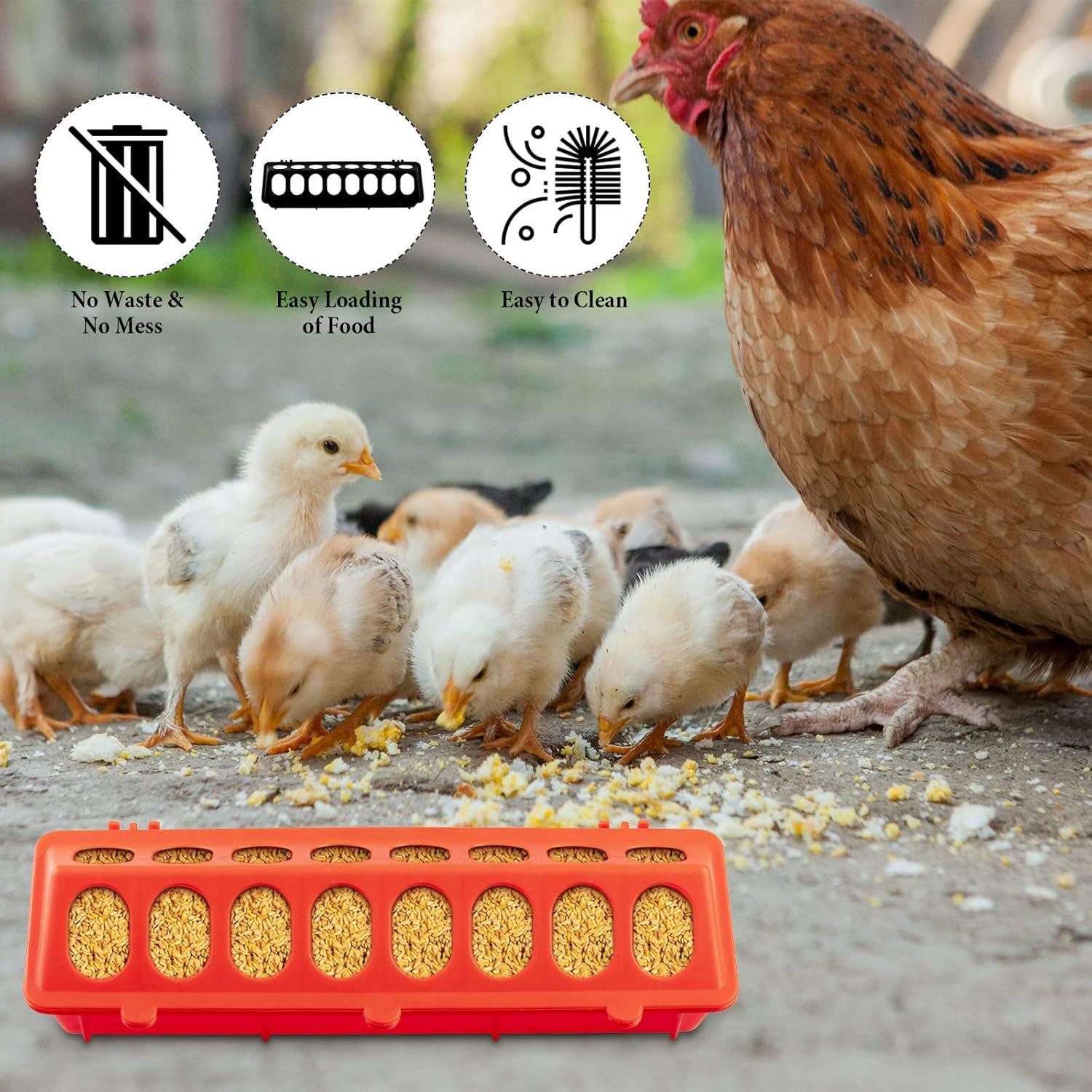 Paquete de 8 comederos plásticos Gandeer para aves 30x10 cm