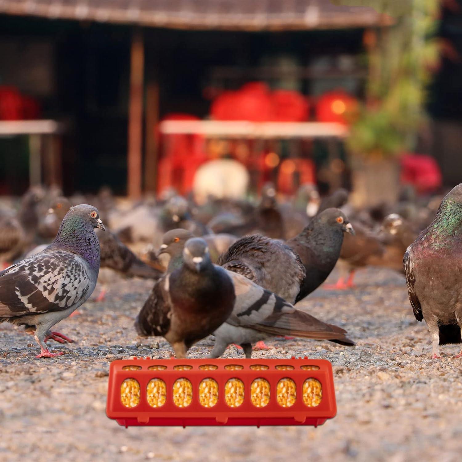 Paquete de 8 comederos plásticos Gandeer para aves 30x10 cm