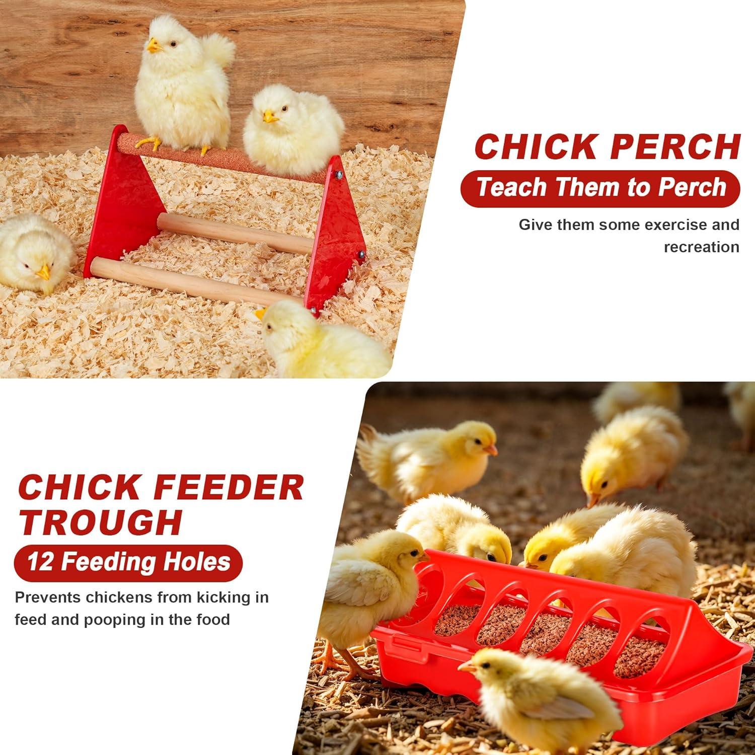 Caja de Cría para Pollitos ROSTIUTE con Comedero y Bebedero